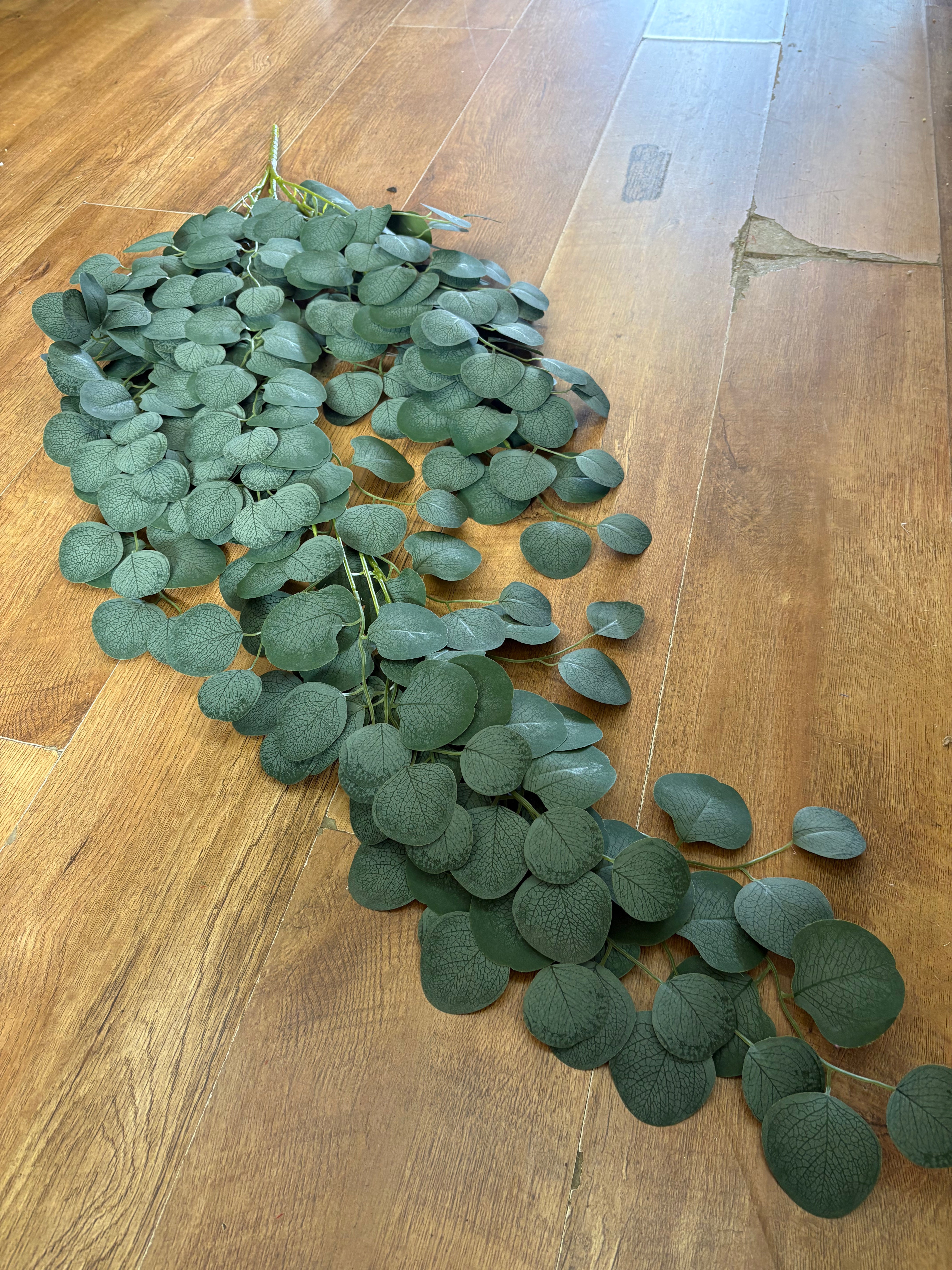 Giant hanging eucalyptus trailer