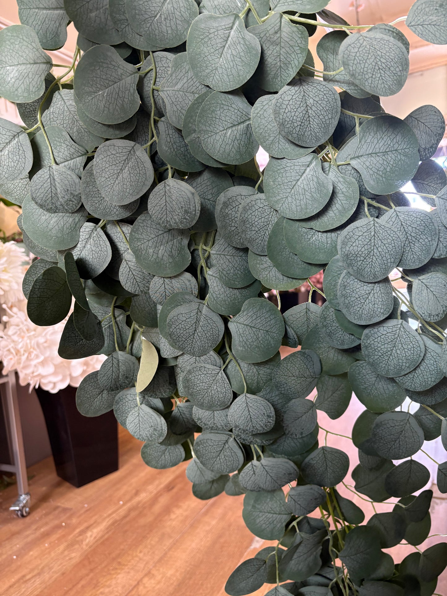 Giant hanging eucalyptus trailer