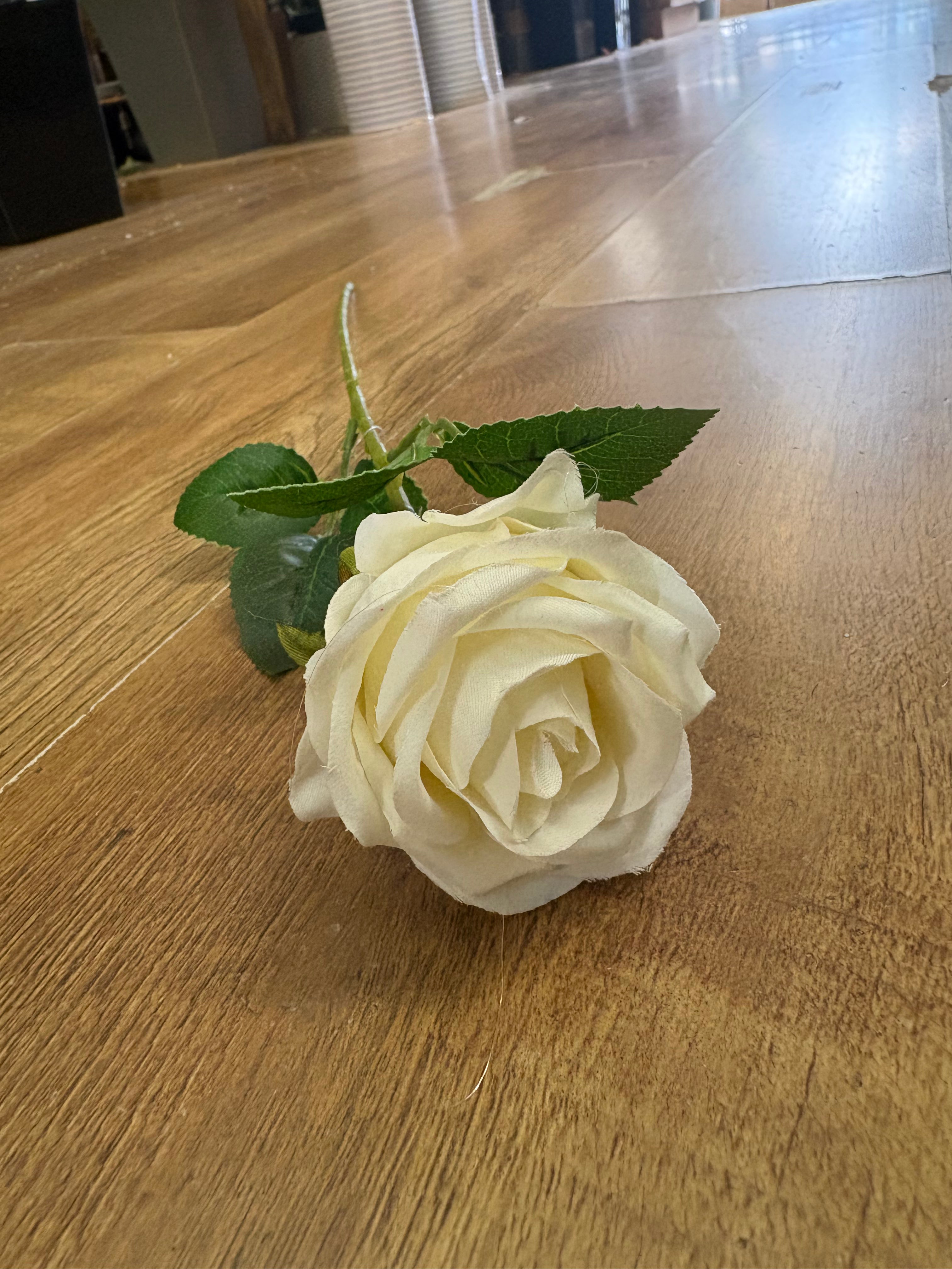 Single cream amira rose