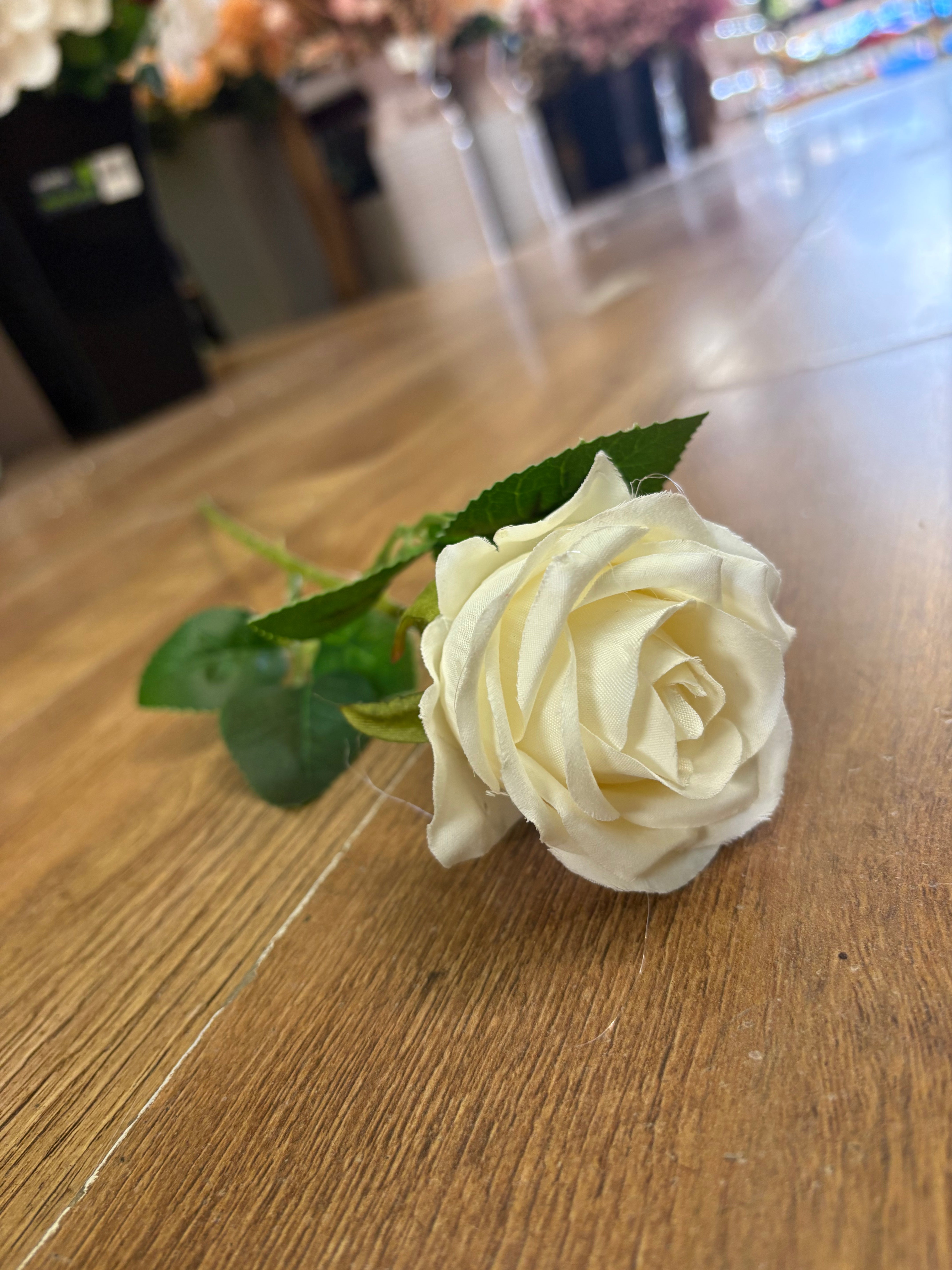 Single cream amira rose