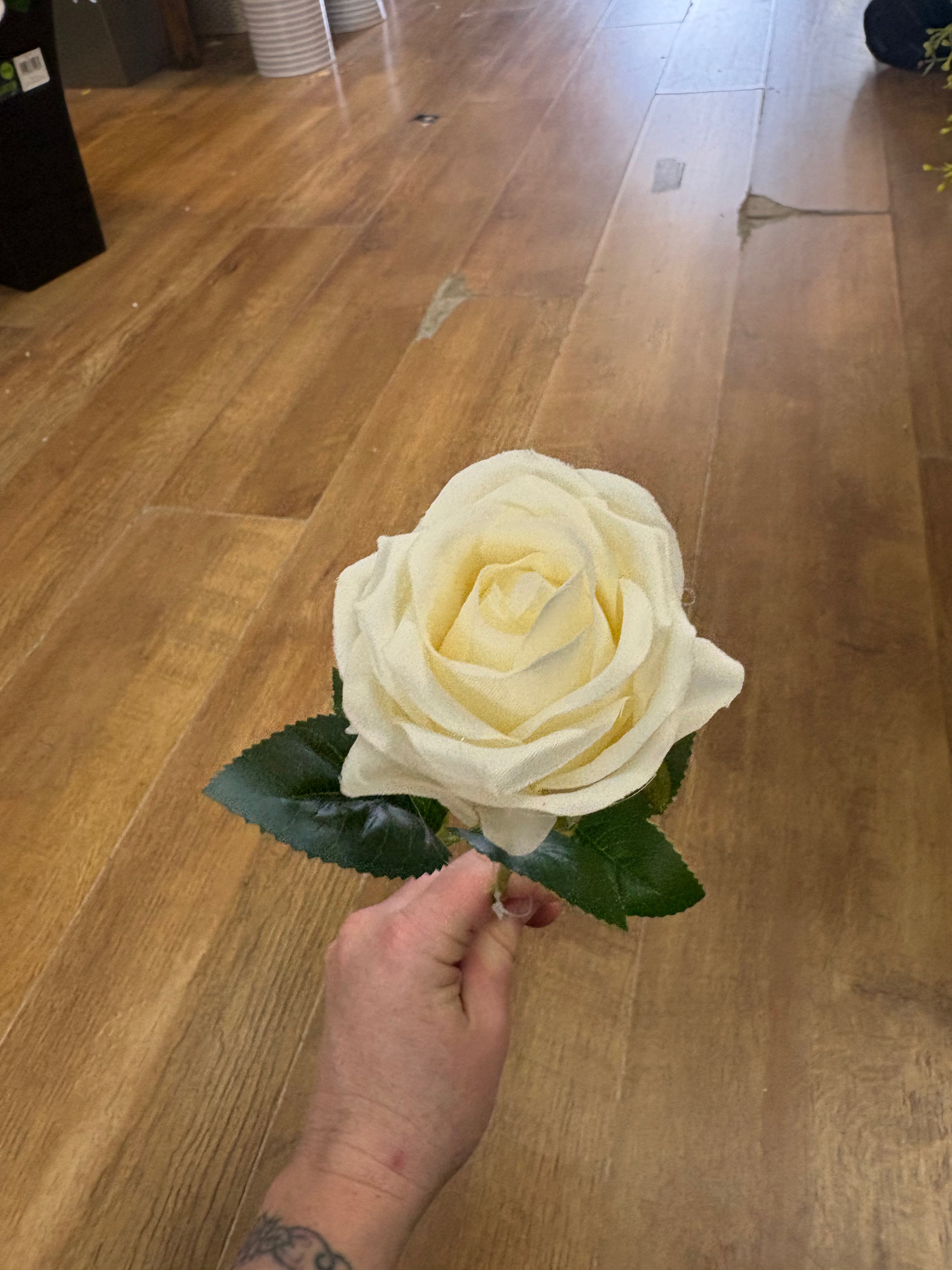 Single cream amira rose