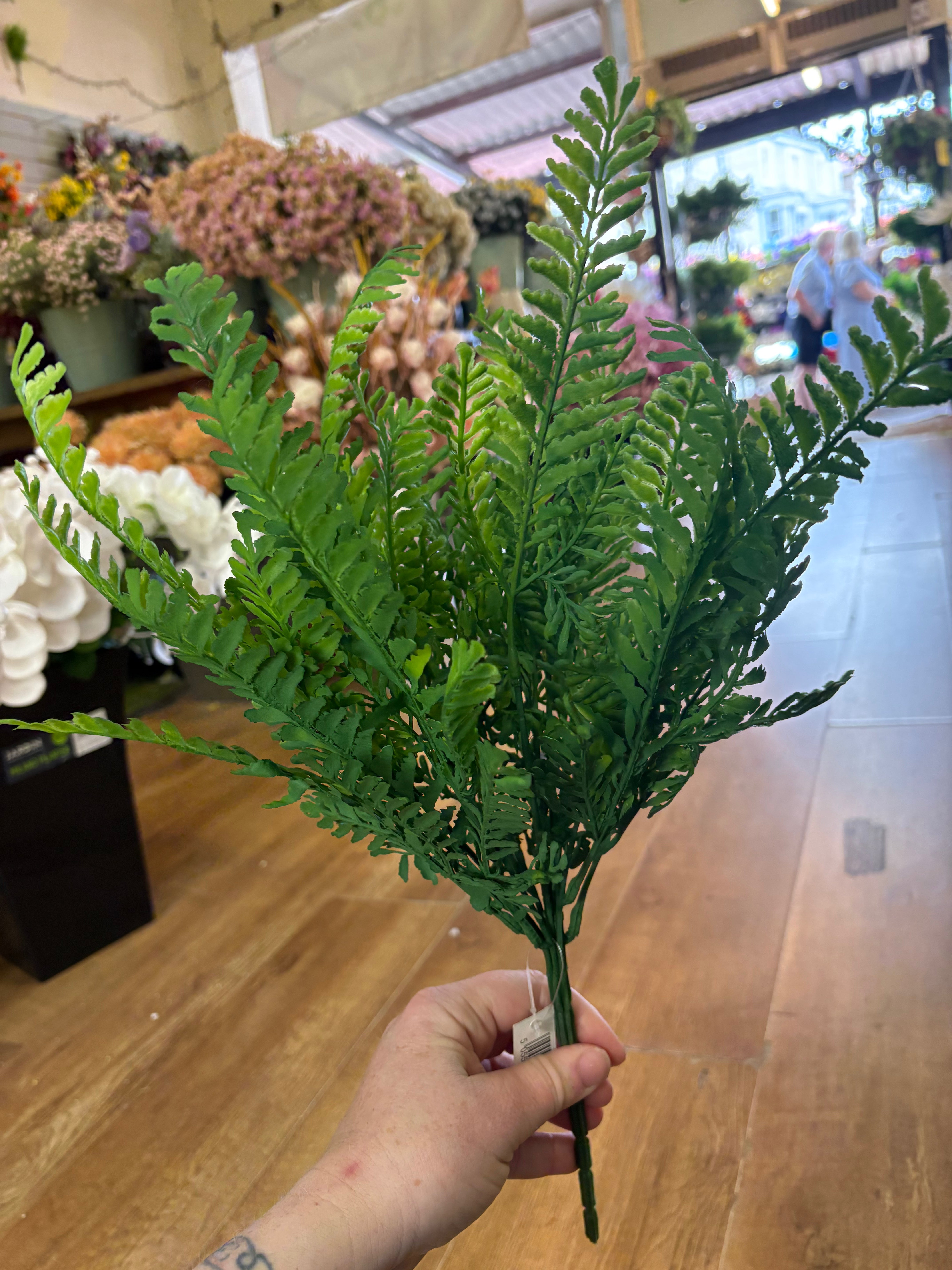 Large fern bunch