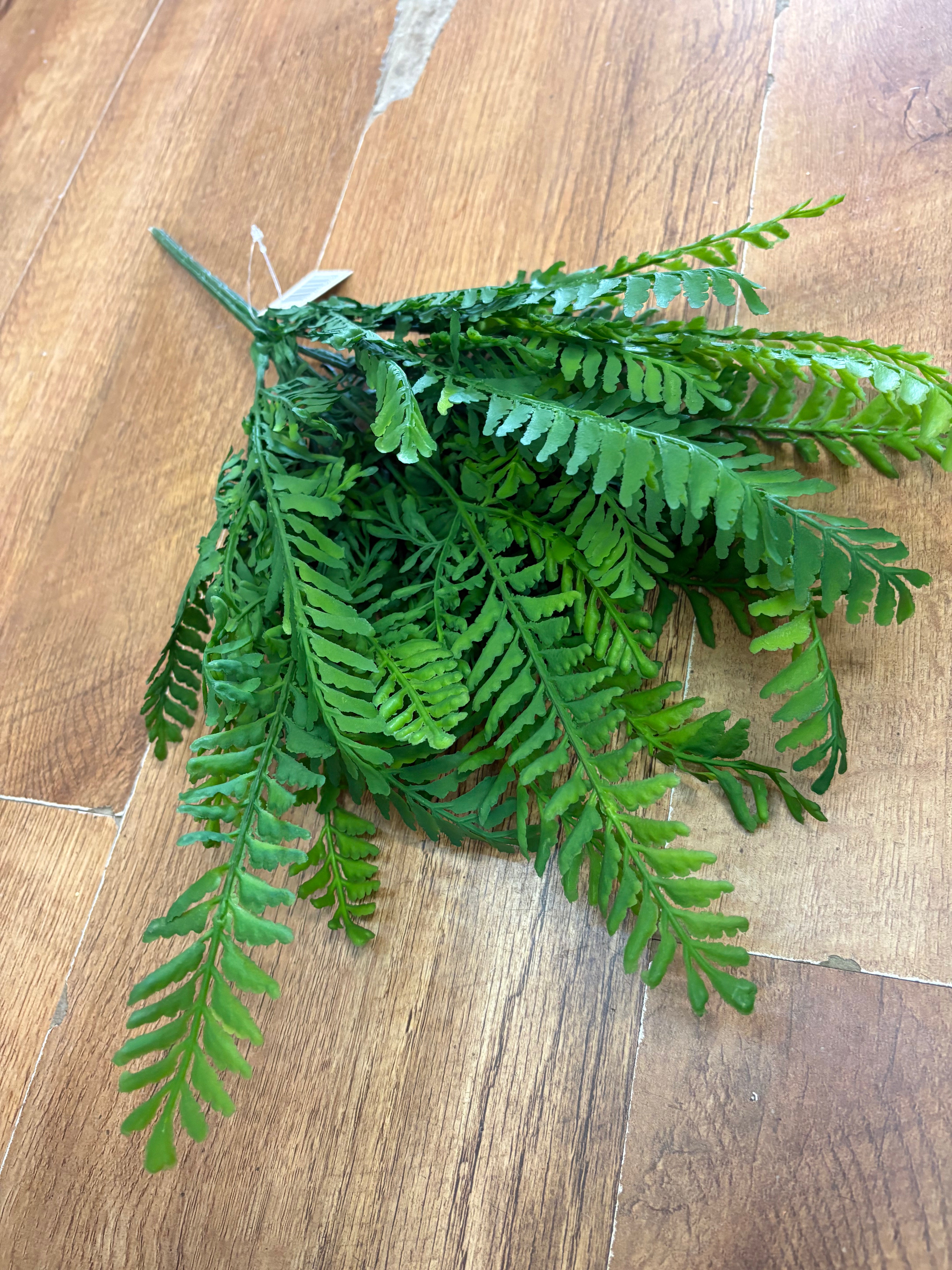 Large fern bunch