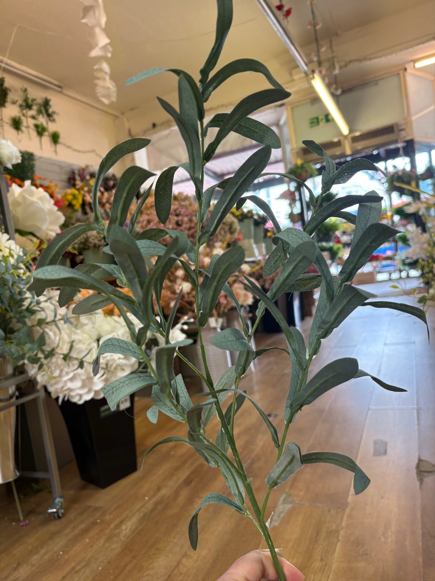 Long stem natural green olive leaf spray