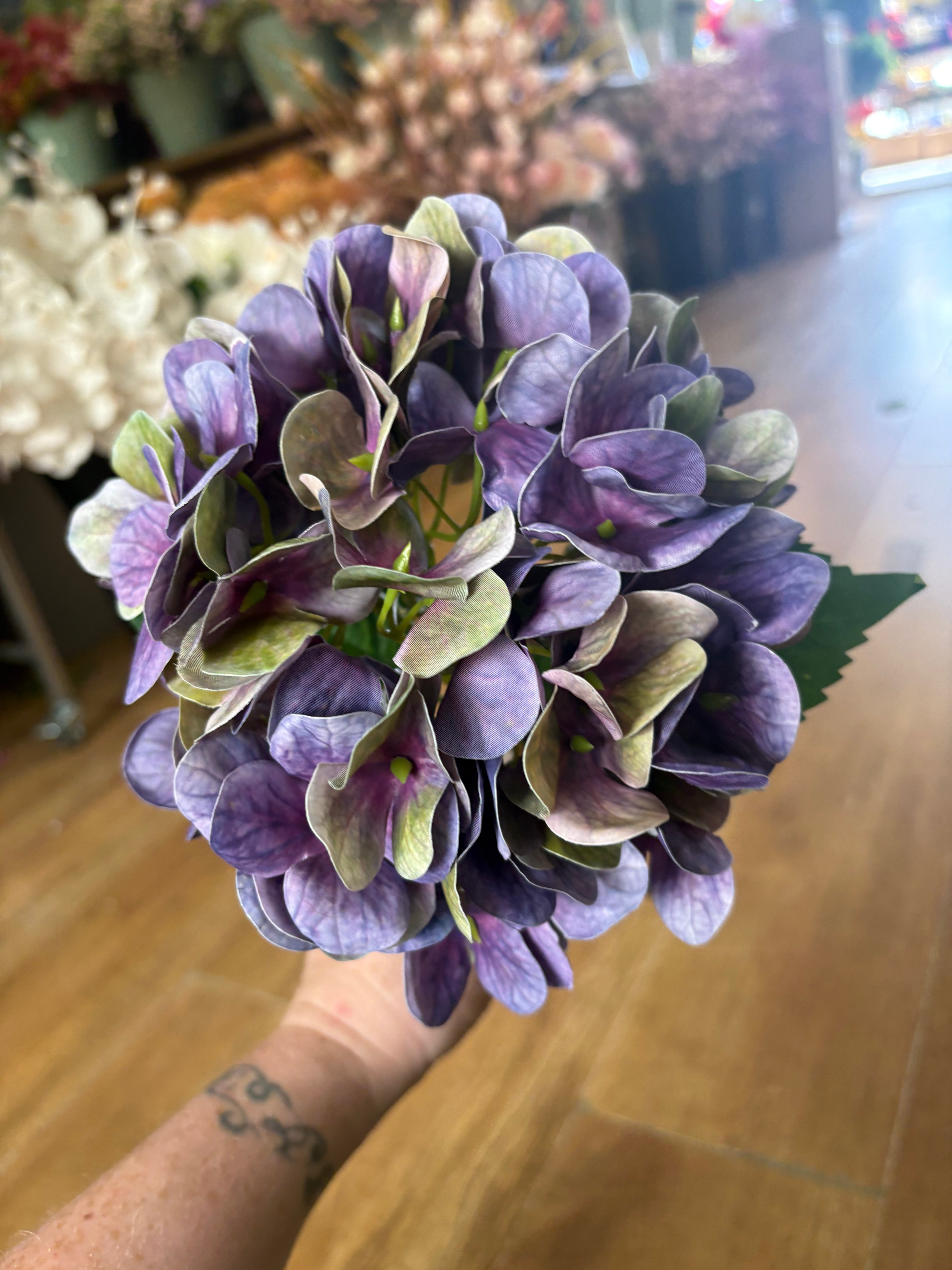 Medium length purple/green single hydrangea