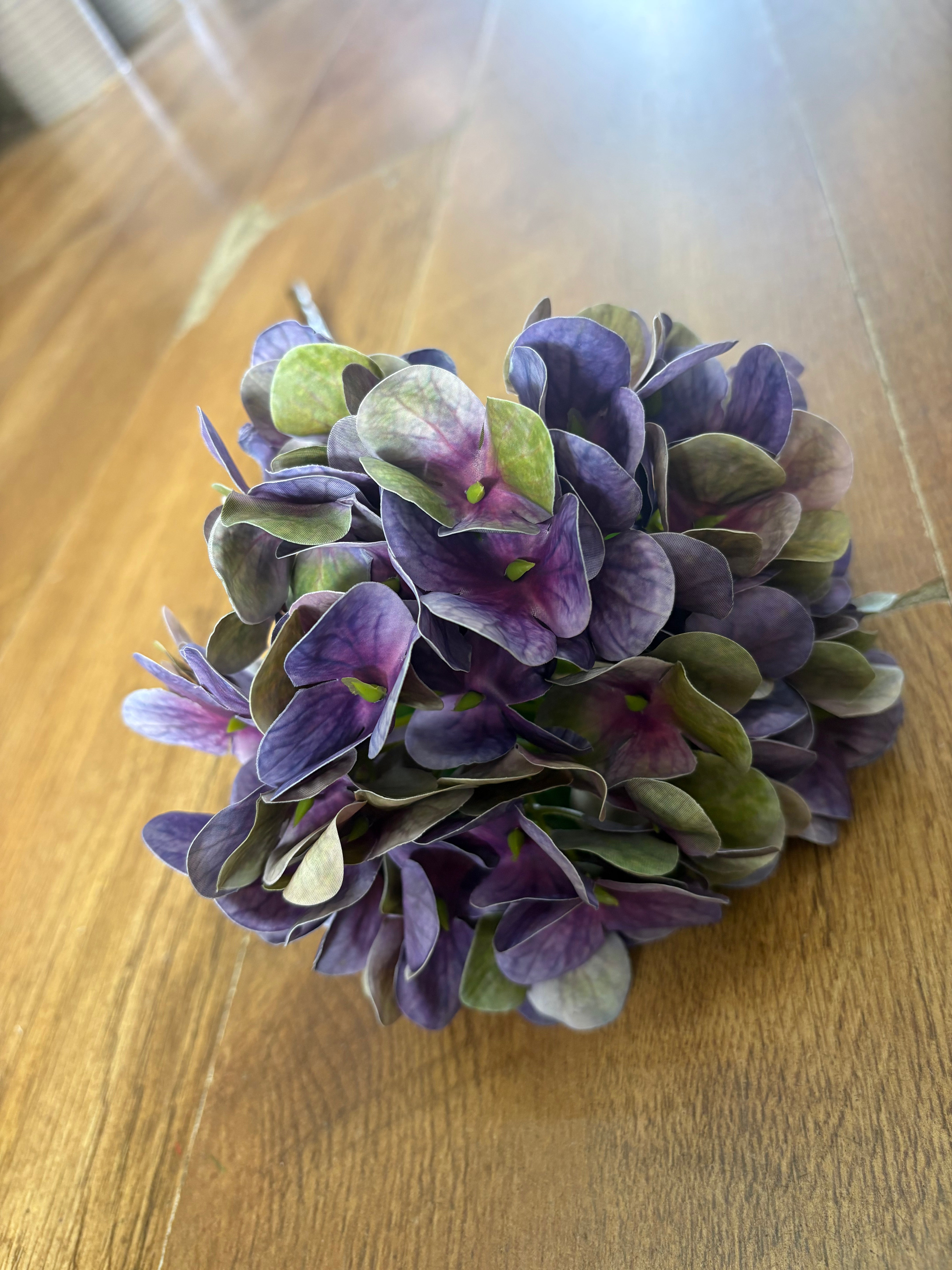 Medium length purple/green single hydrangea