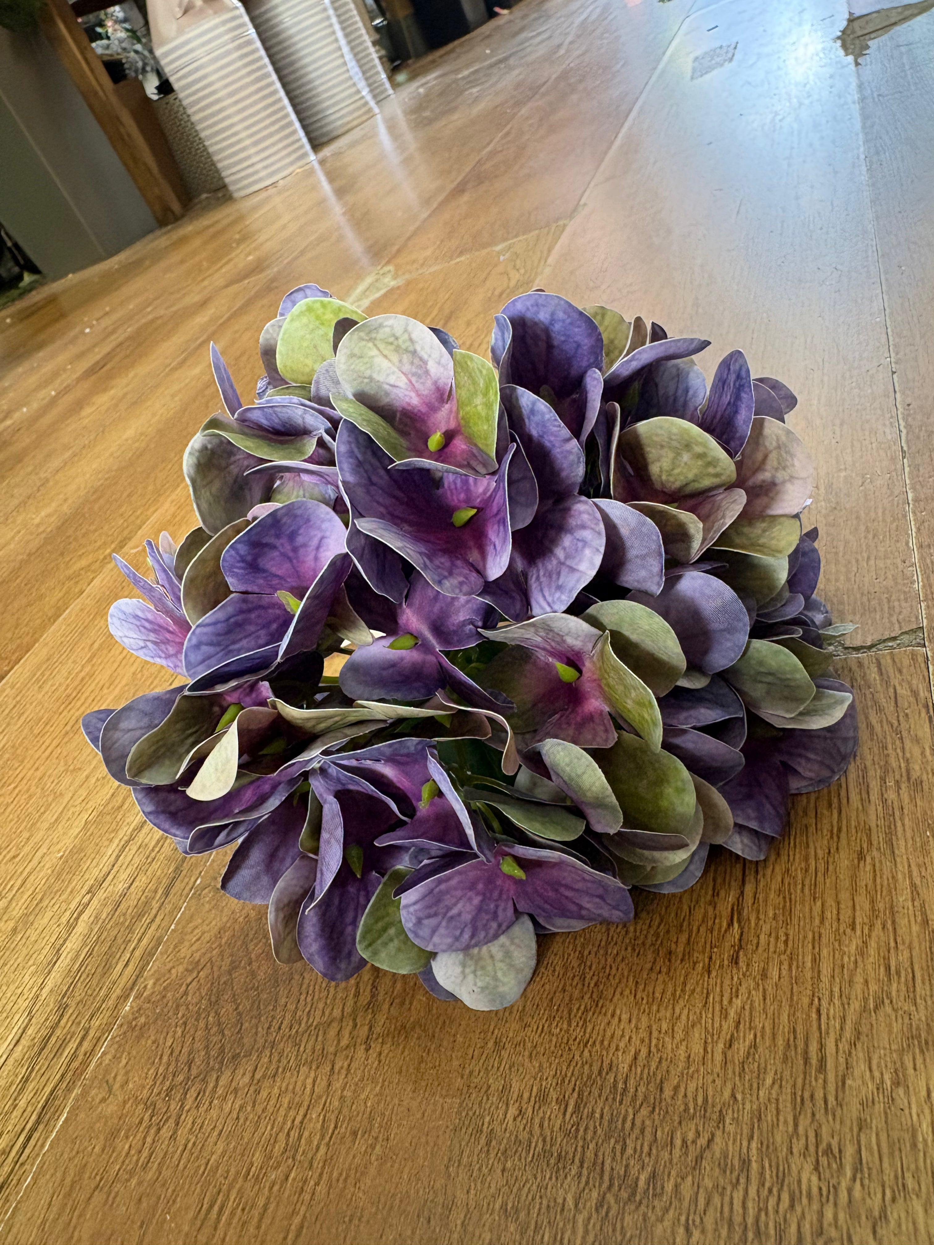 Medium length purple/green single hydrangea