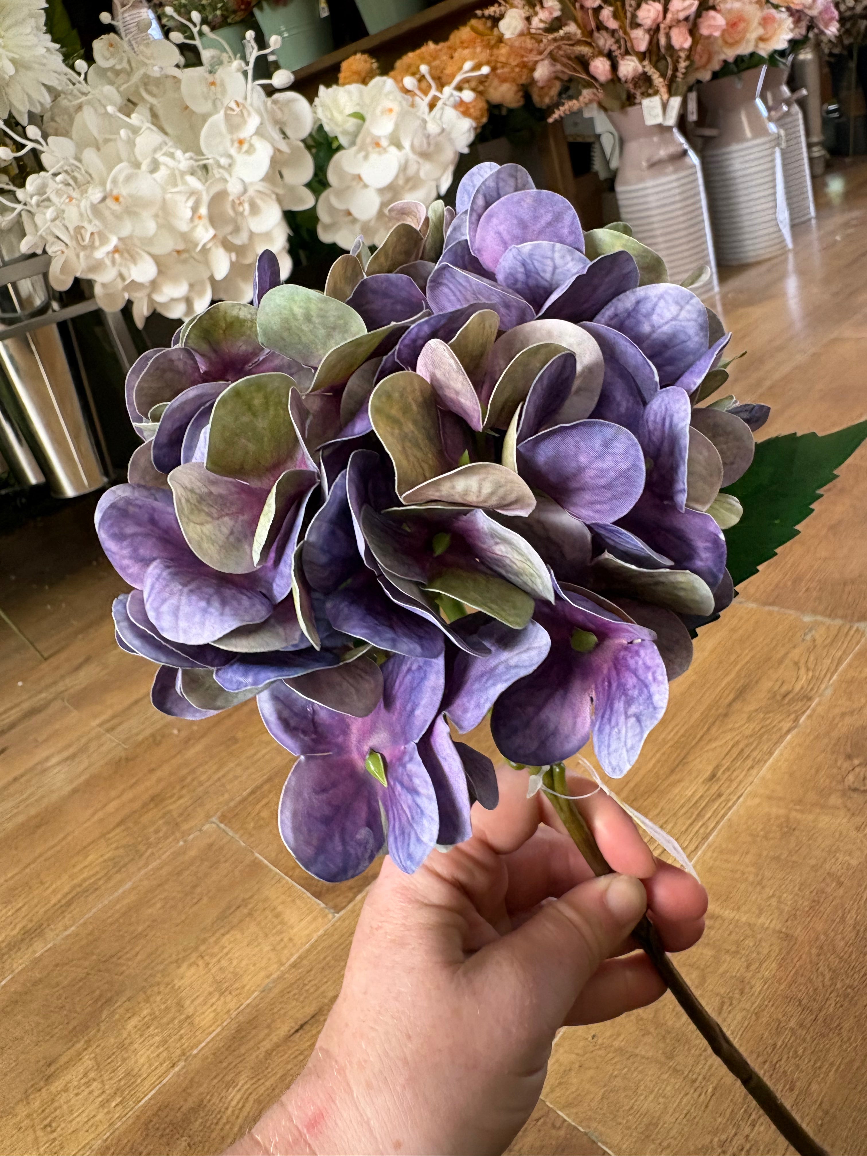 Medium length purple/green single hydrangea