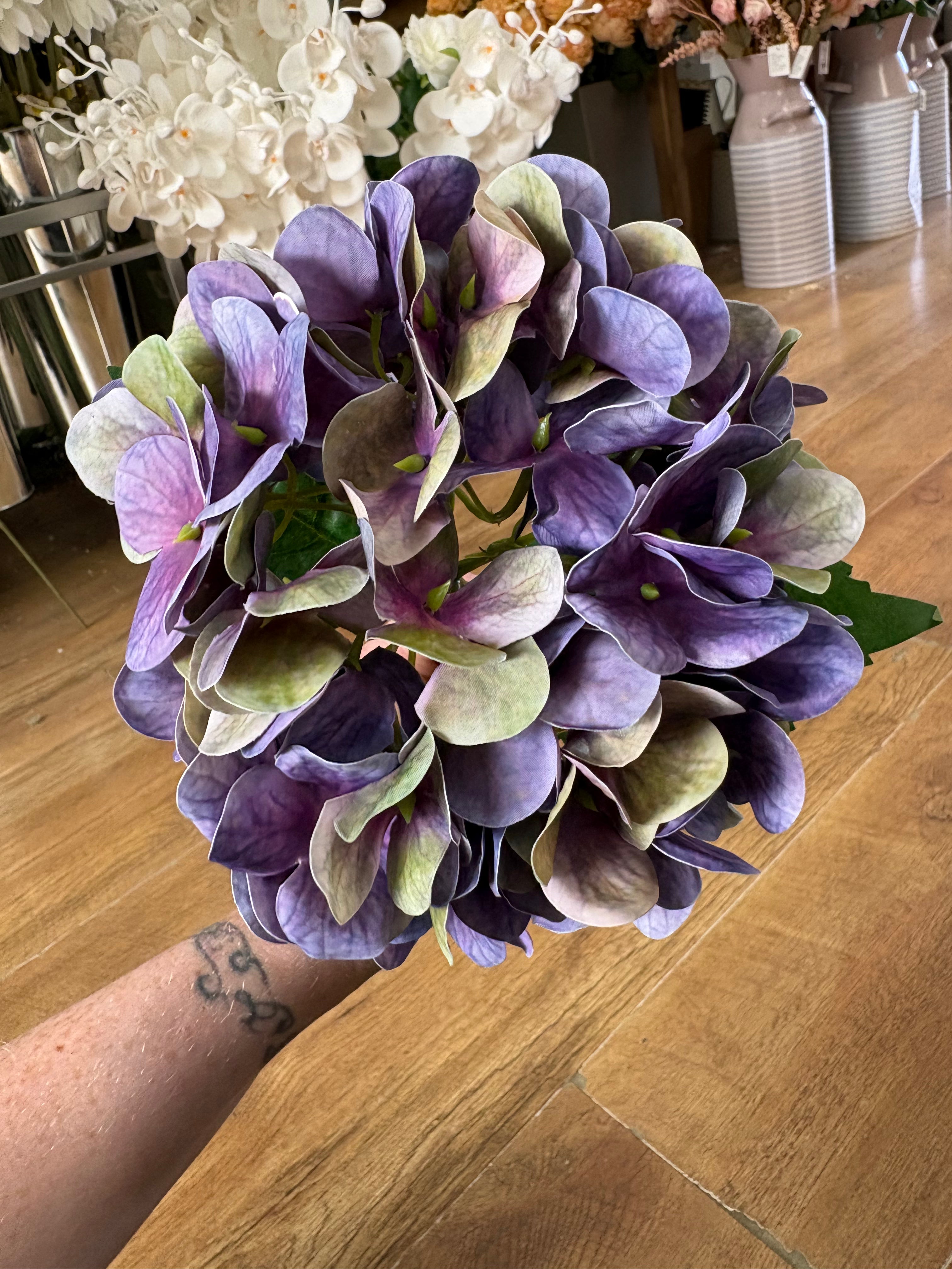 Medium length purple/green single hydrangea