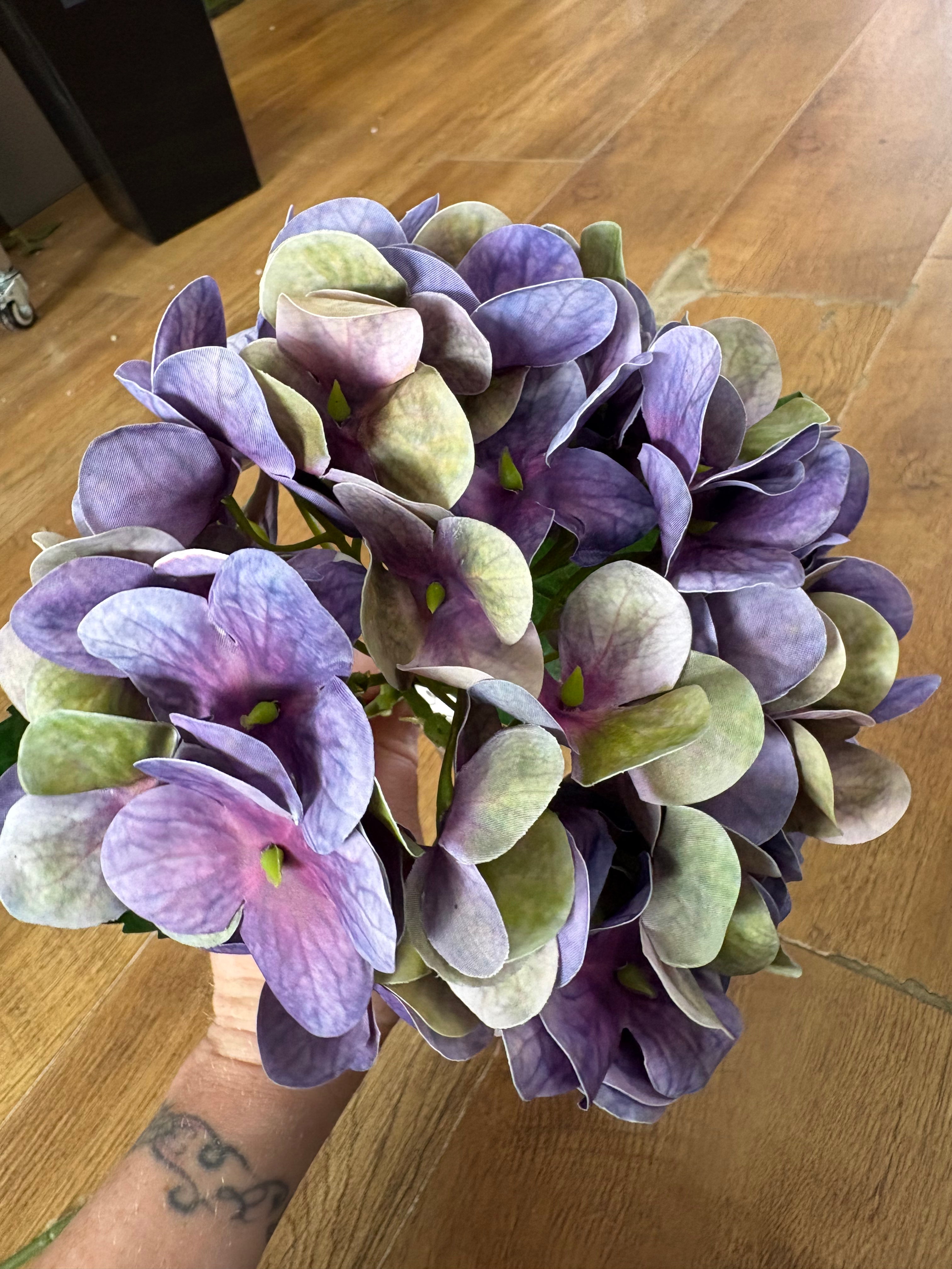 Medium length purple/green single hydrangea