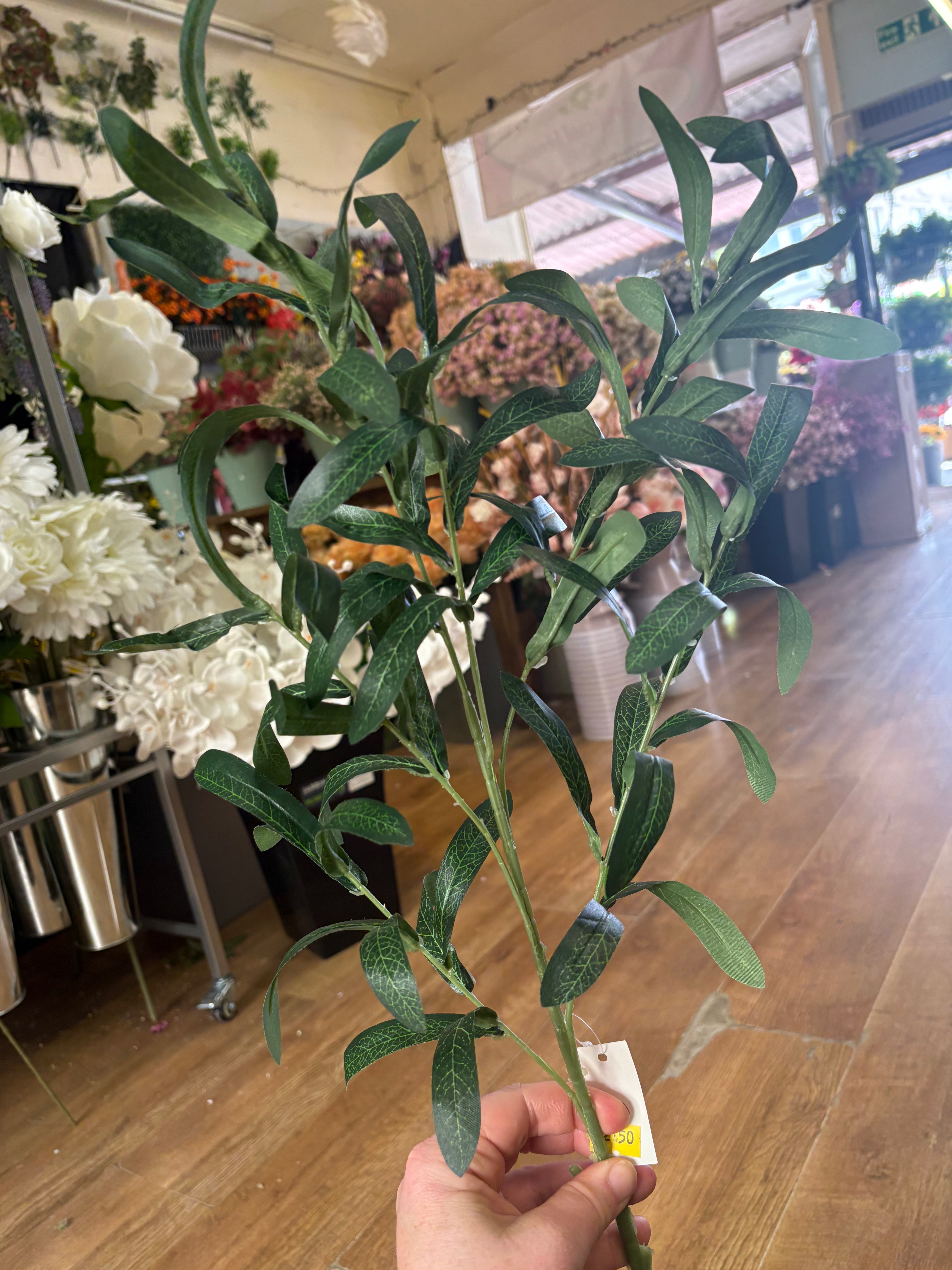 Long stem deep green olive leaf spray