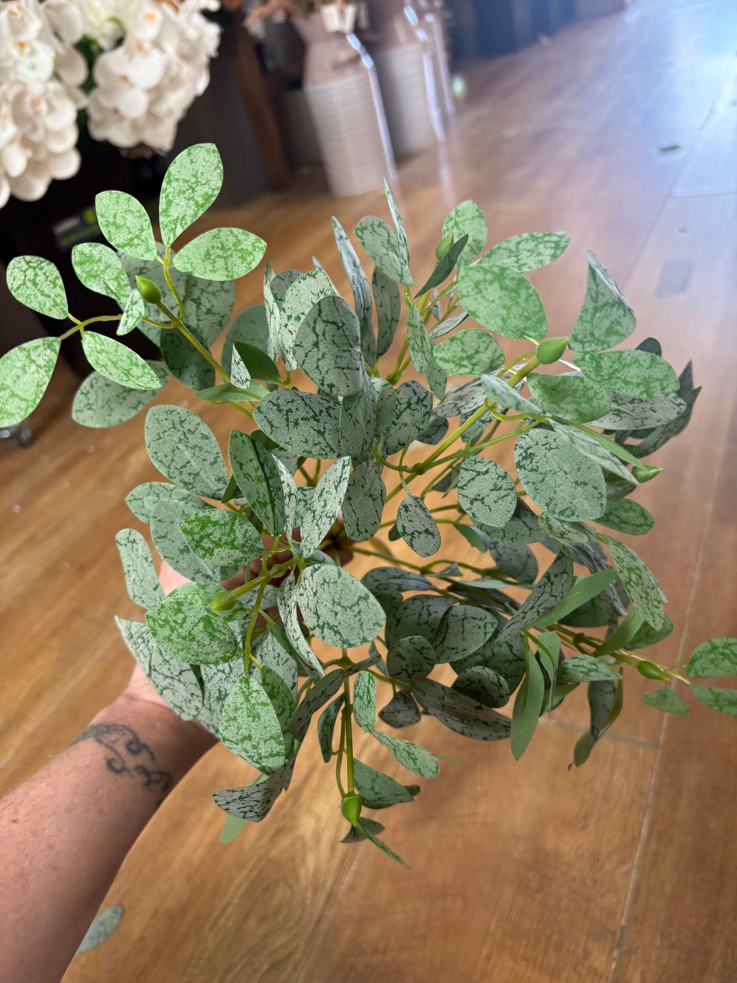 Bushy bunch of small leaf foliage