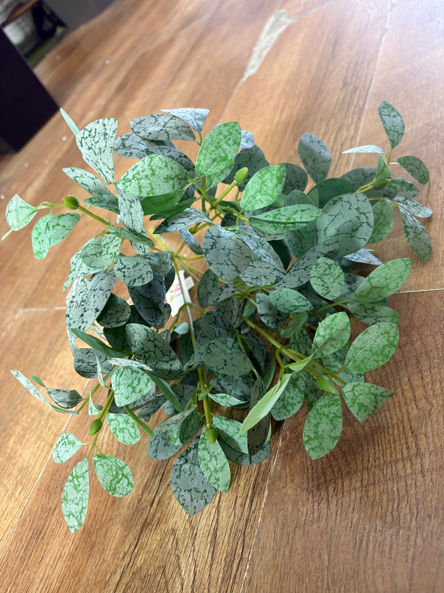 Bushy bunch of small leaf foliage