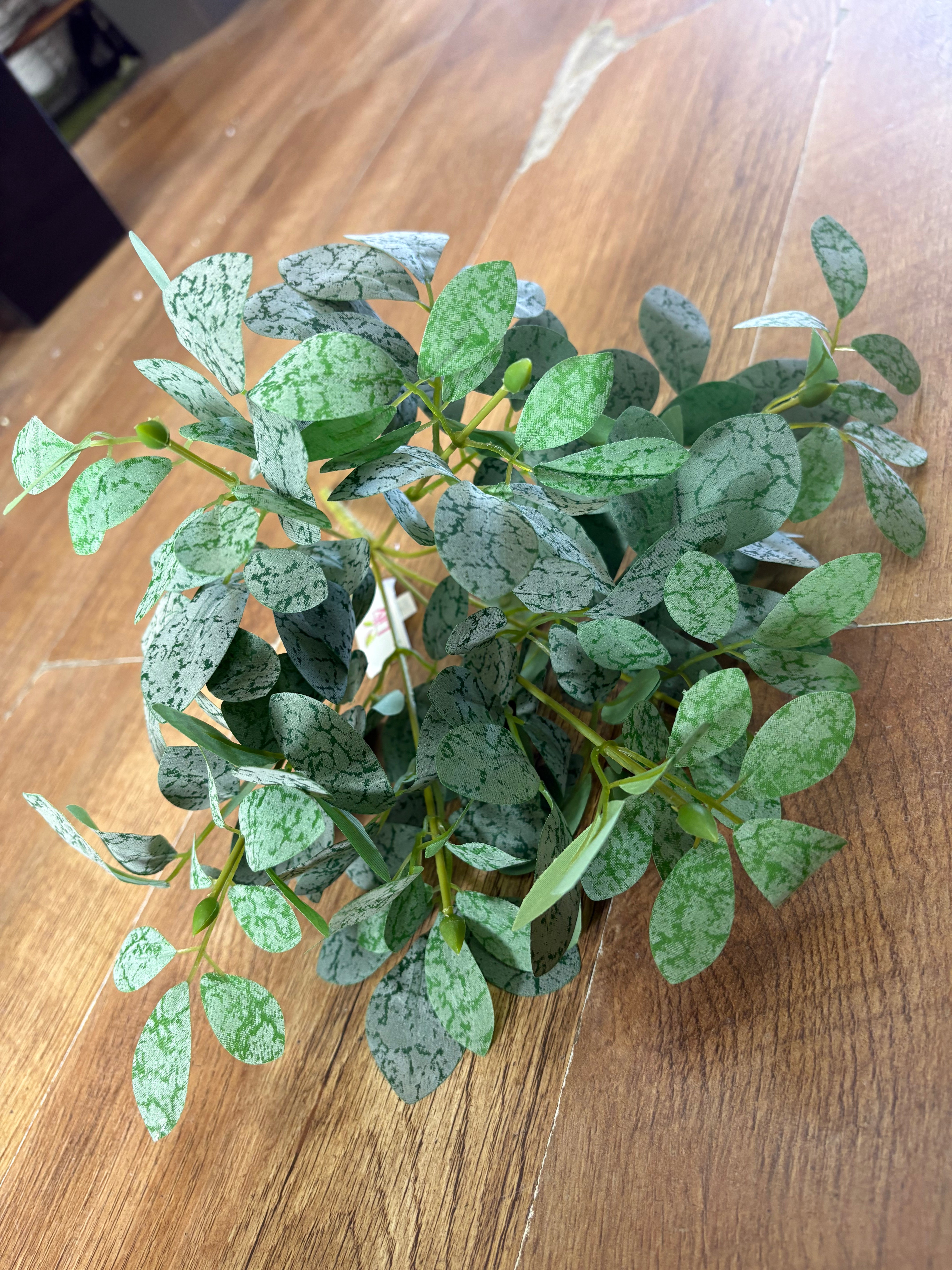 Bushy bunch of small leaf foliage