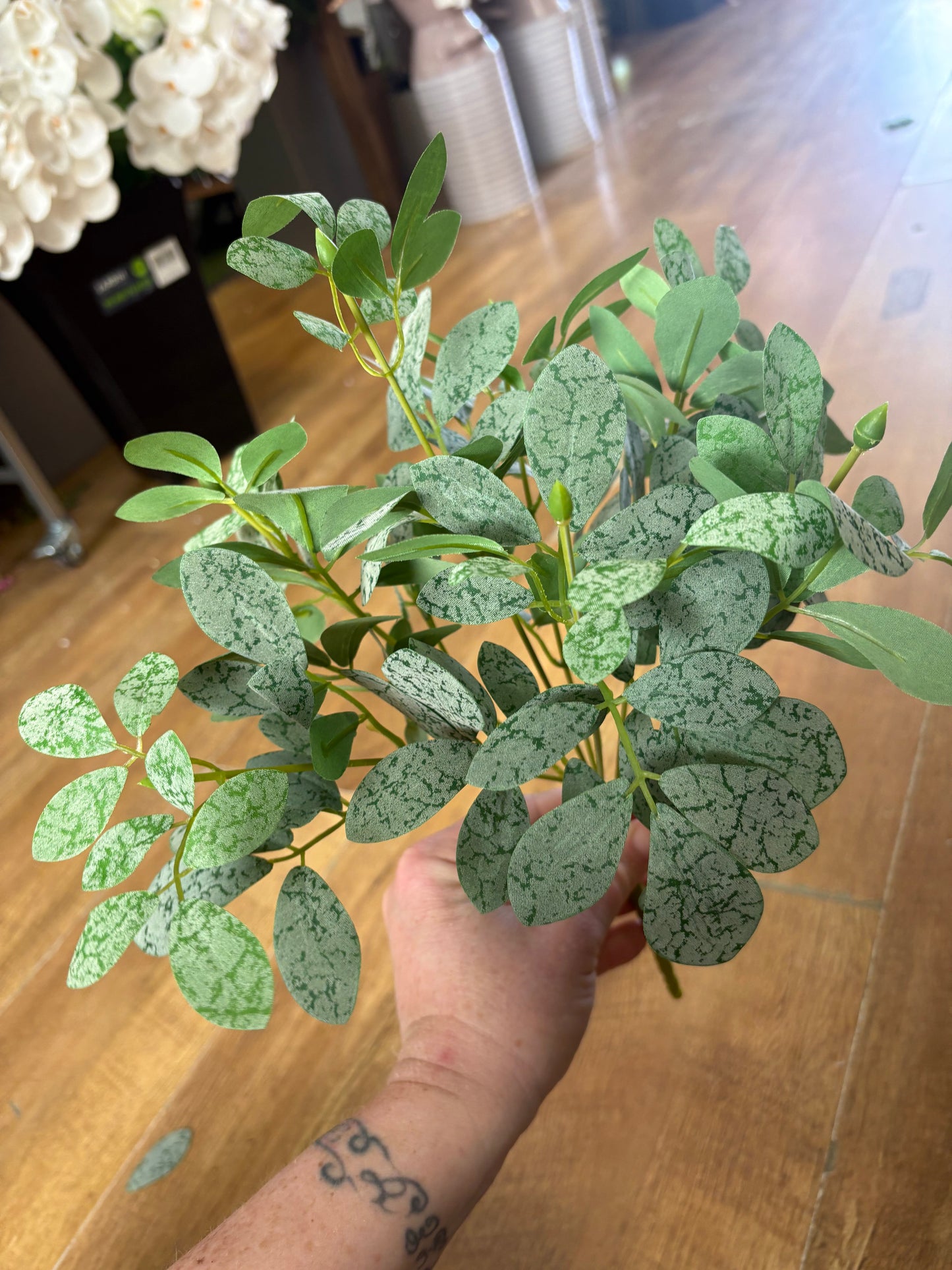 Bushy bunch of small leaf foliage