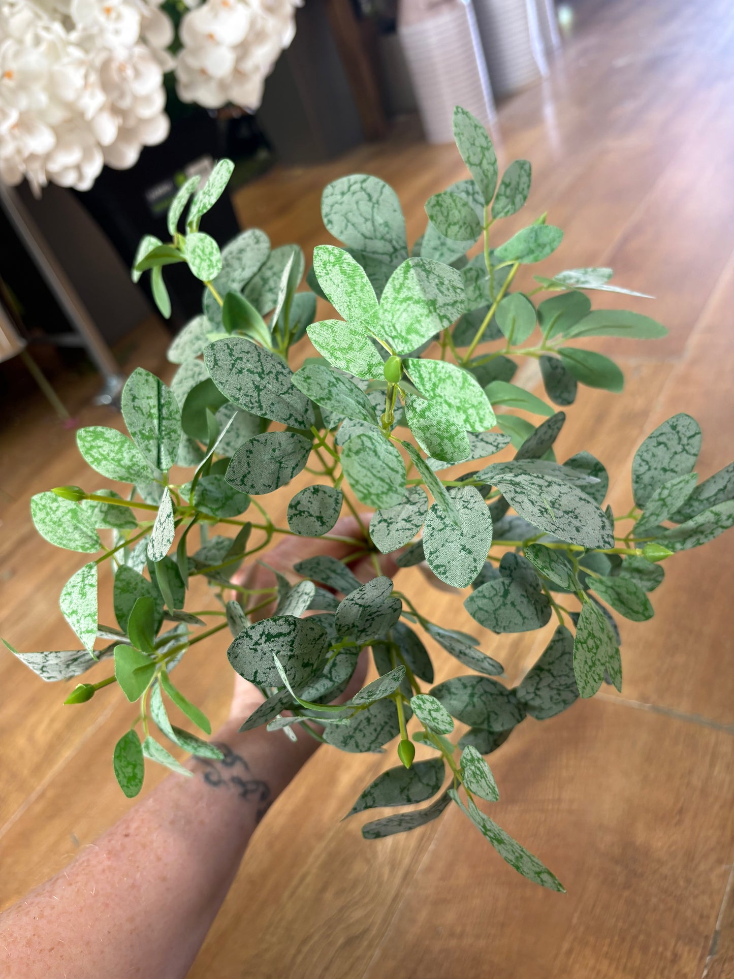 Bushy bunch of small leaf foliage