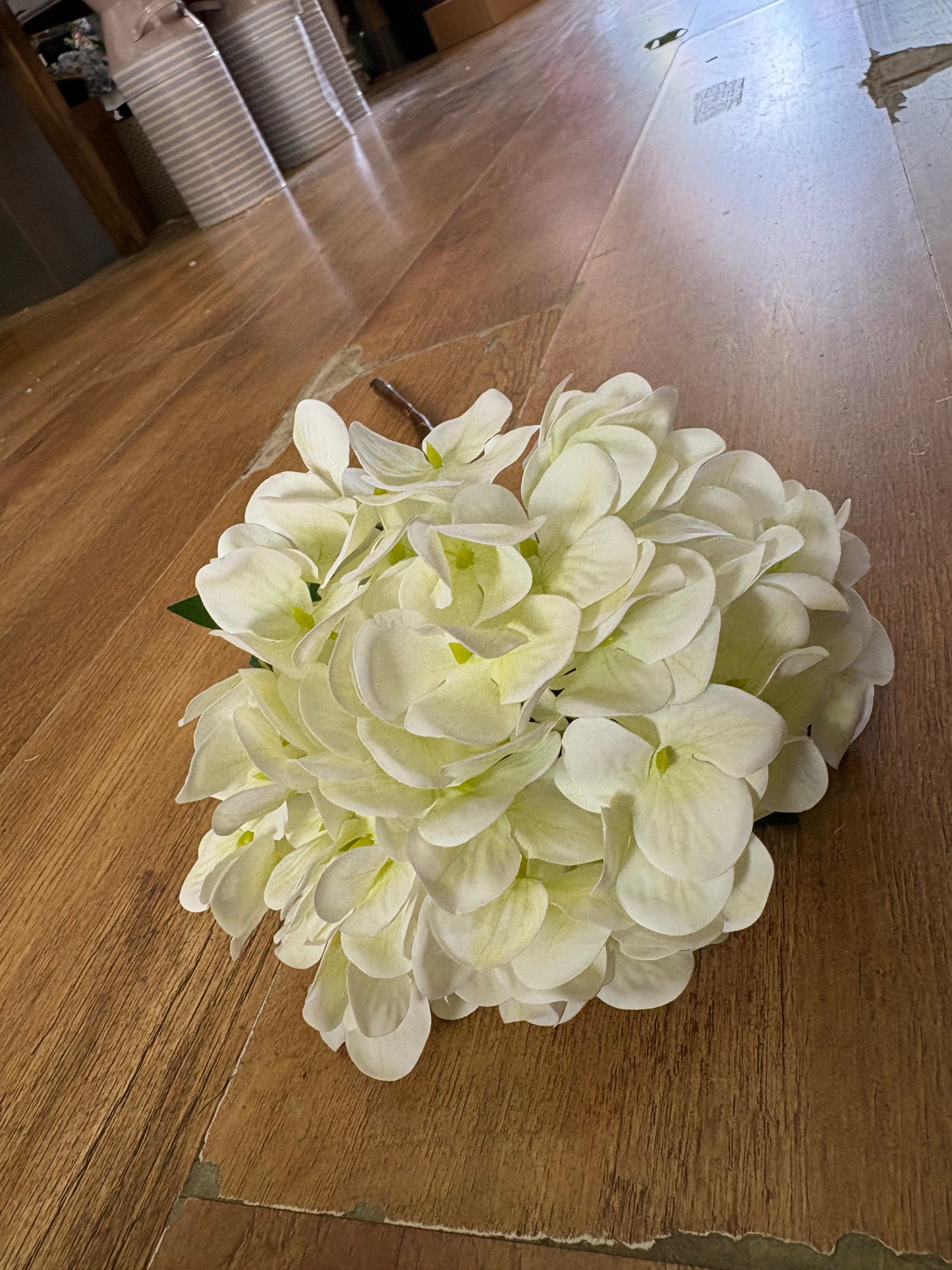 Medium length ivory single hydrangea