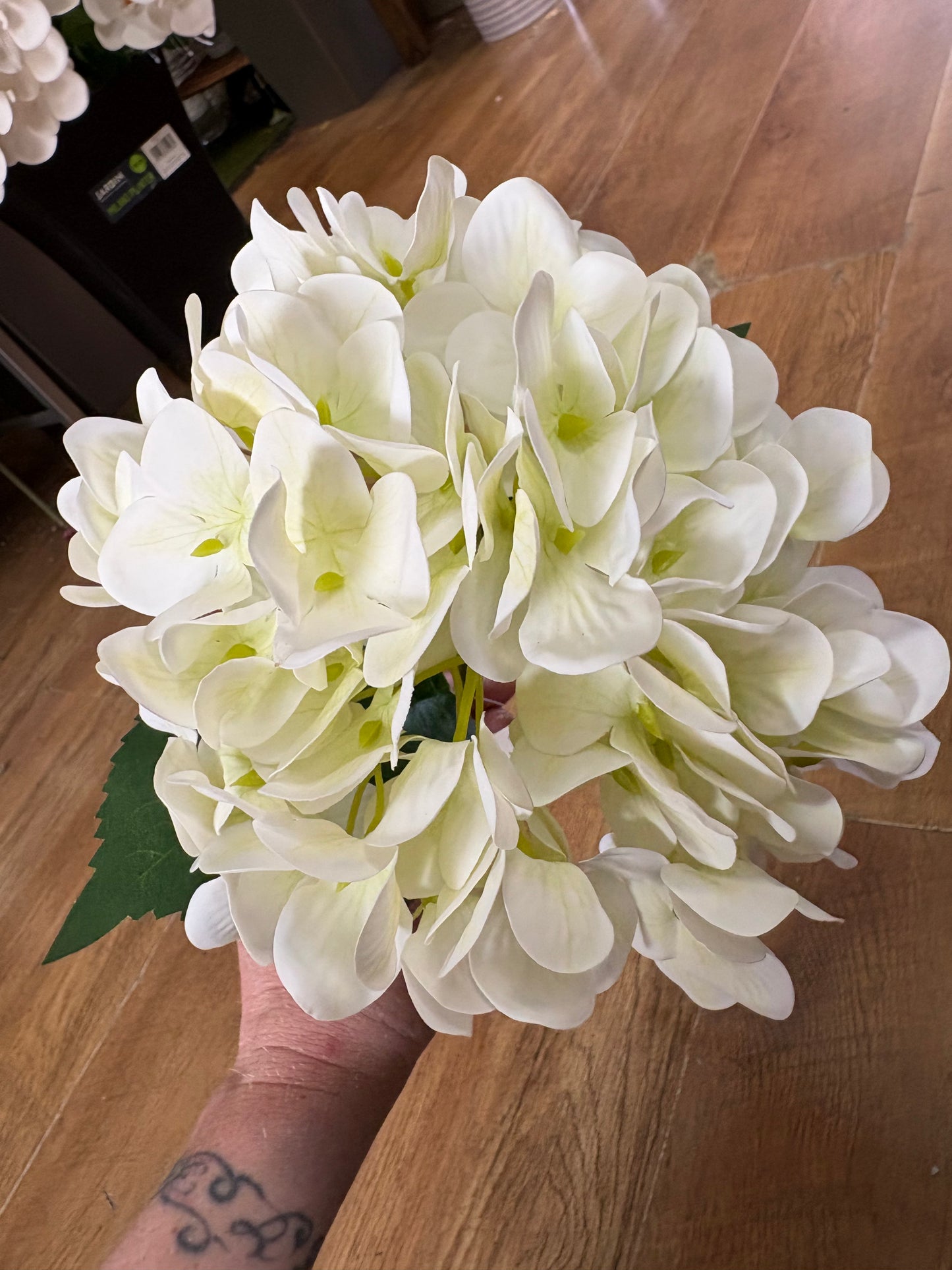 Medium length ivory single hydrangea