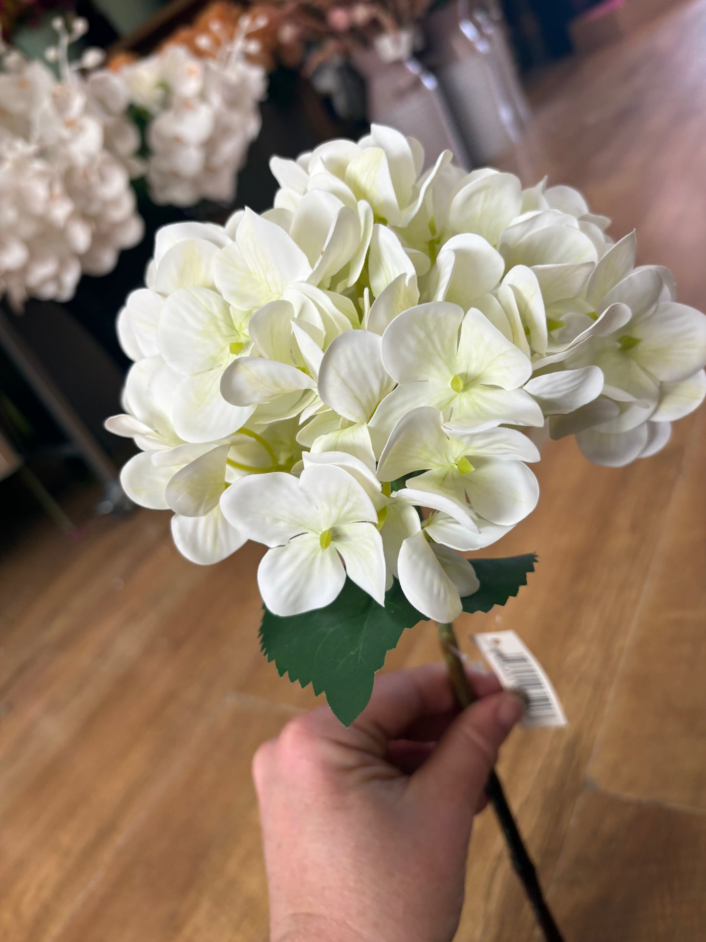 Medium length ivory single hydrangea
