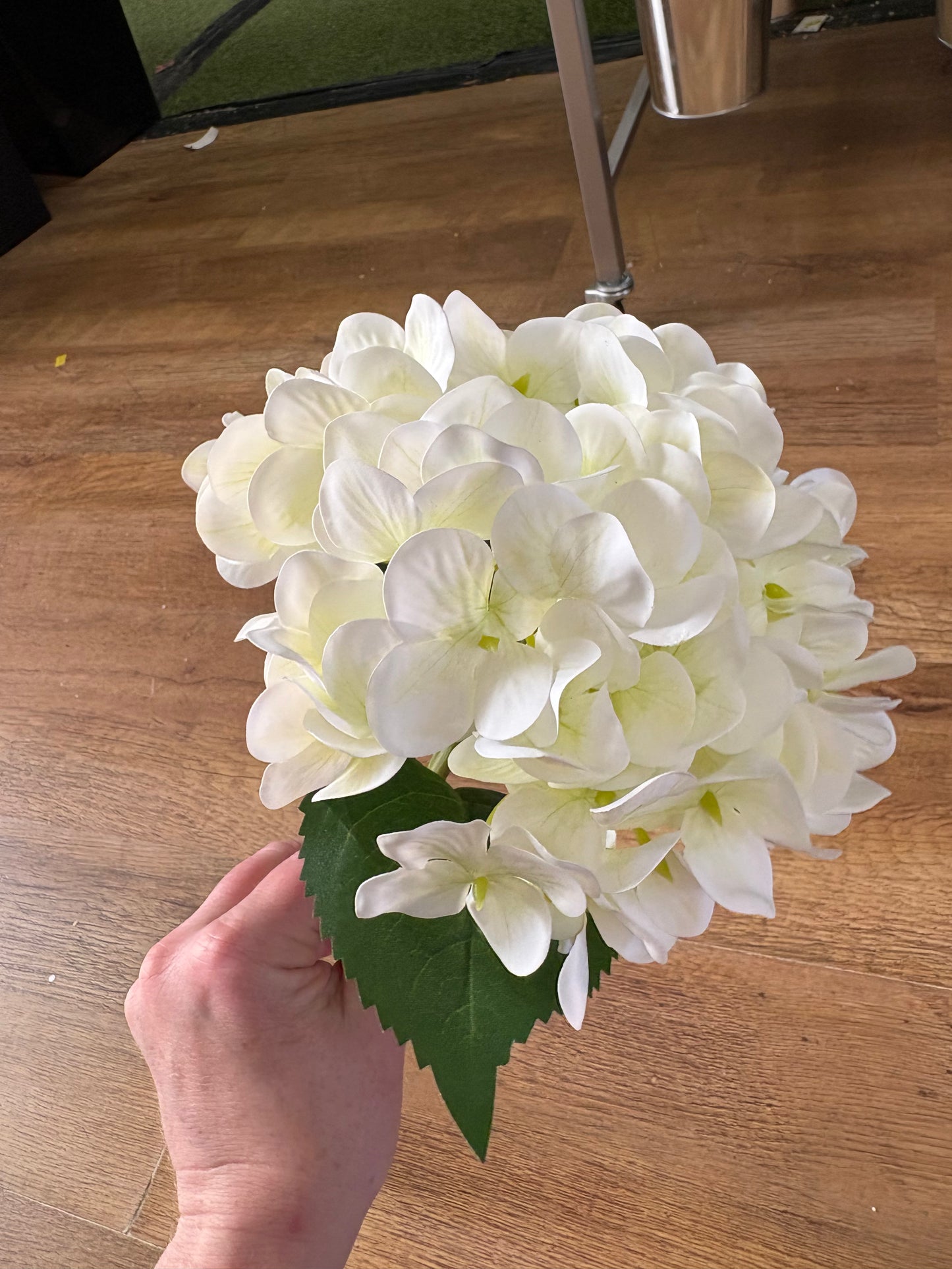 Medium length ivory single hydrangea