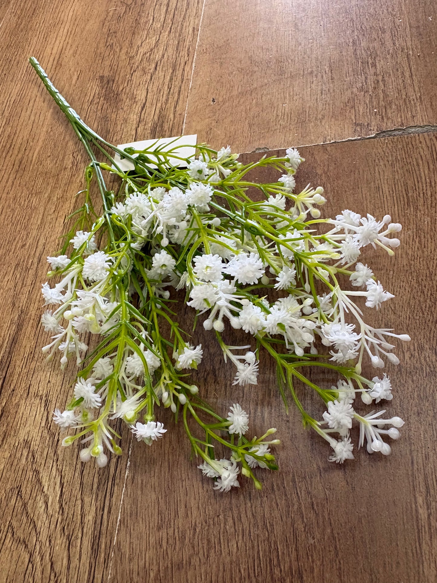 Budding gypsophila bunch