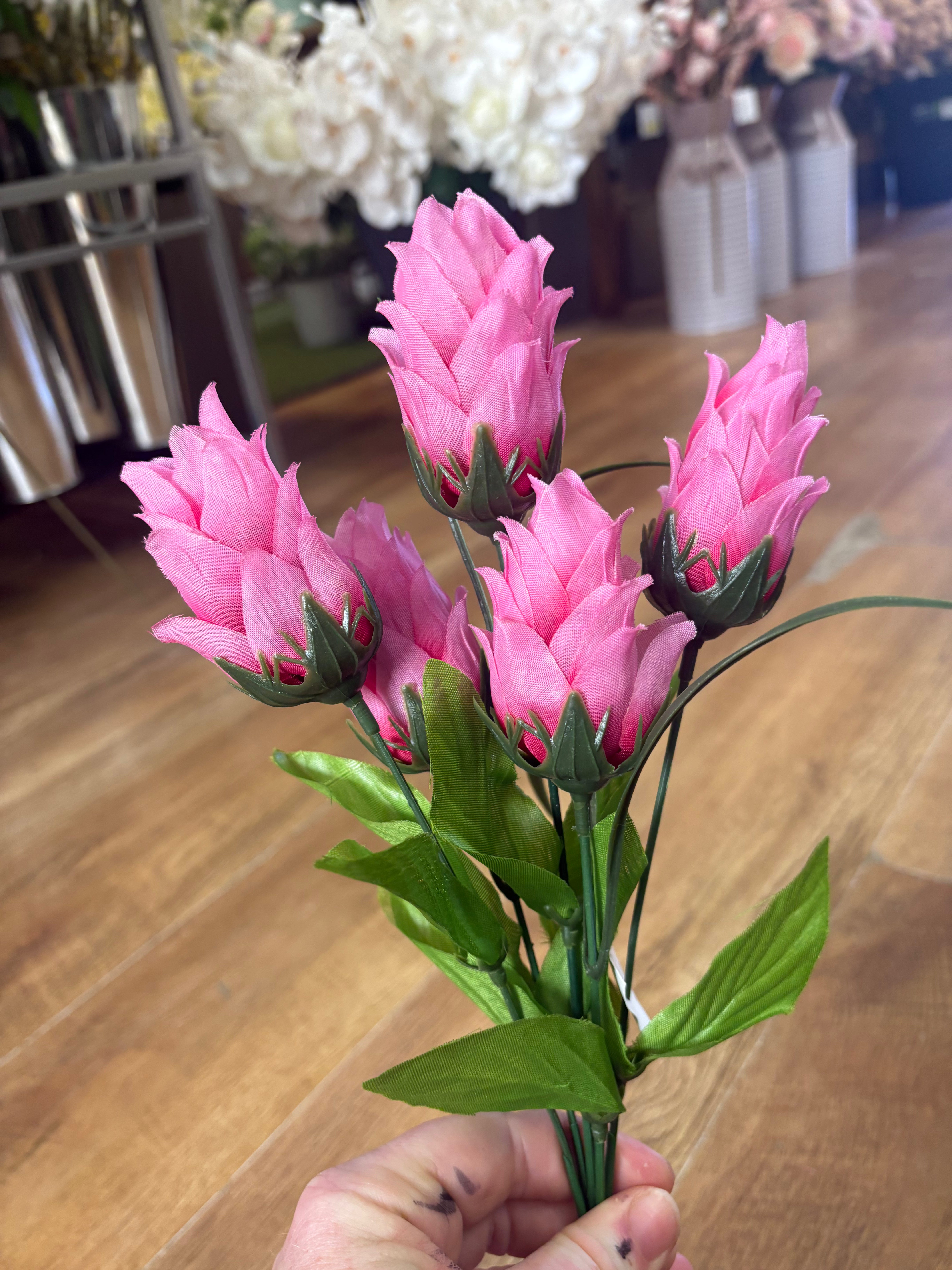 Dragonfruit bunch - 4 colours available