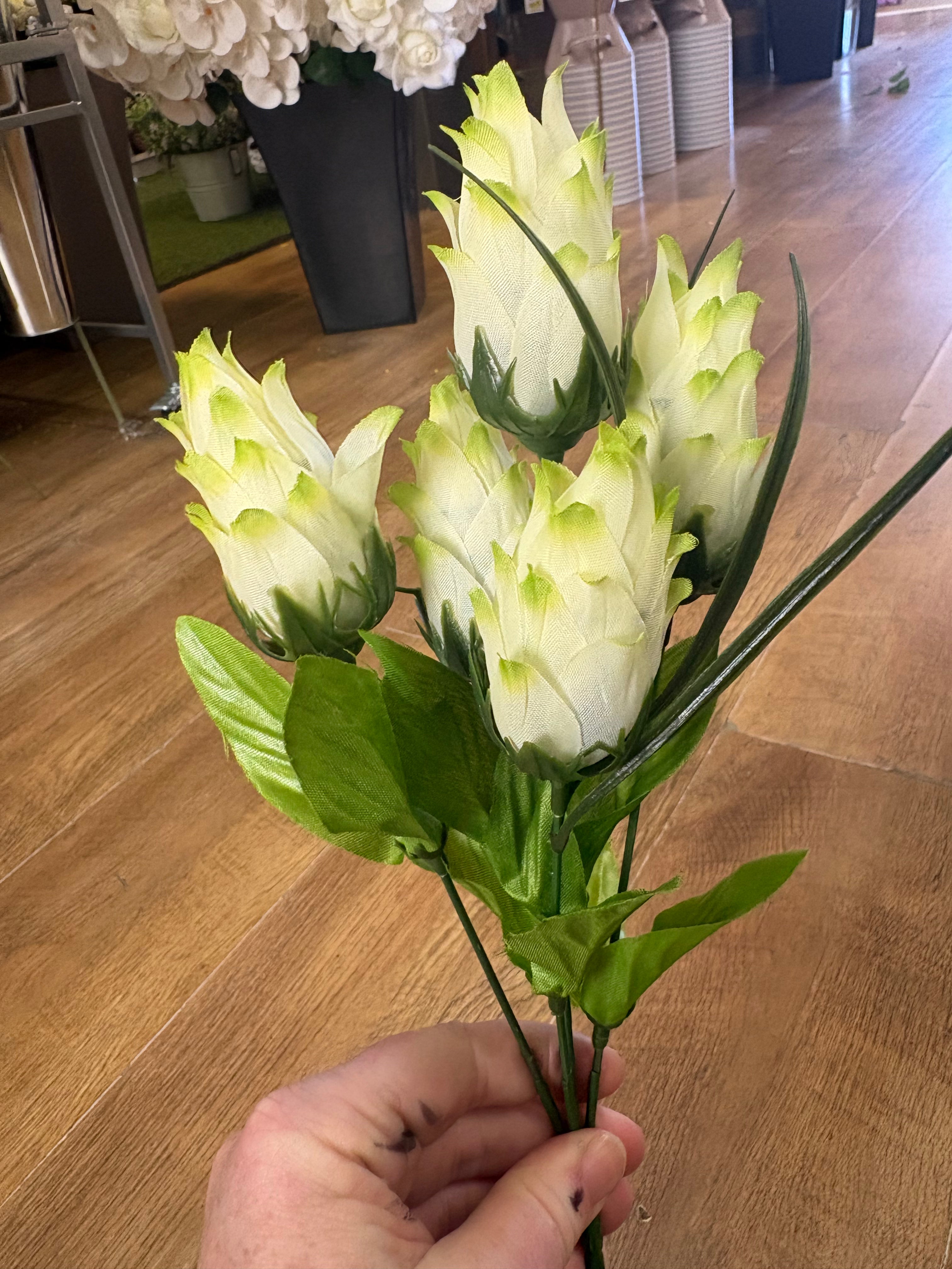 Dragonfruit bunch - 4 colours available