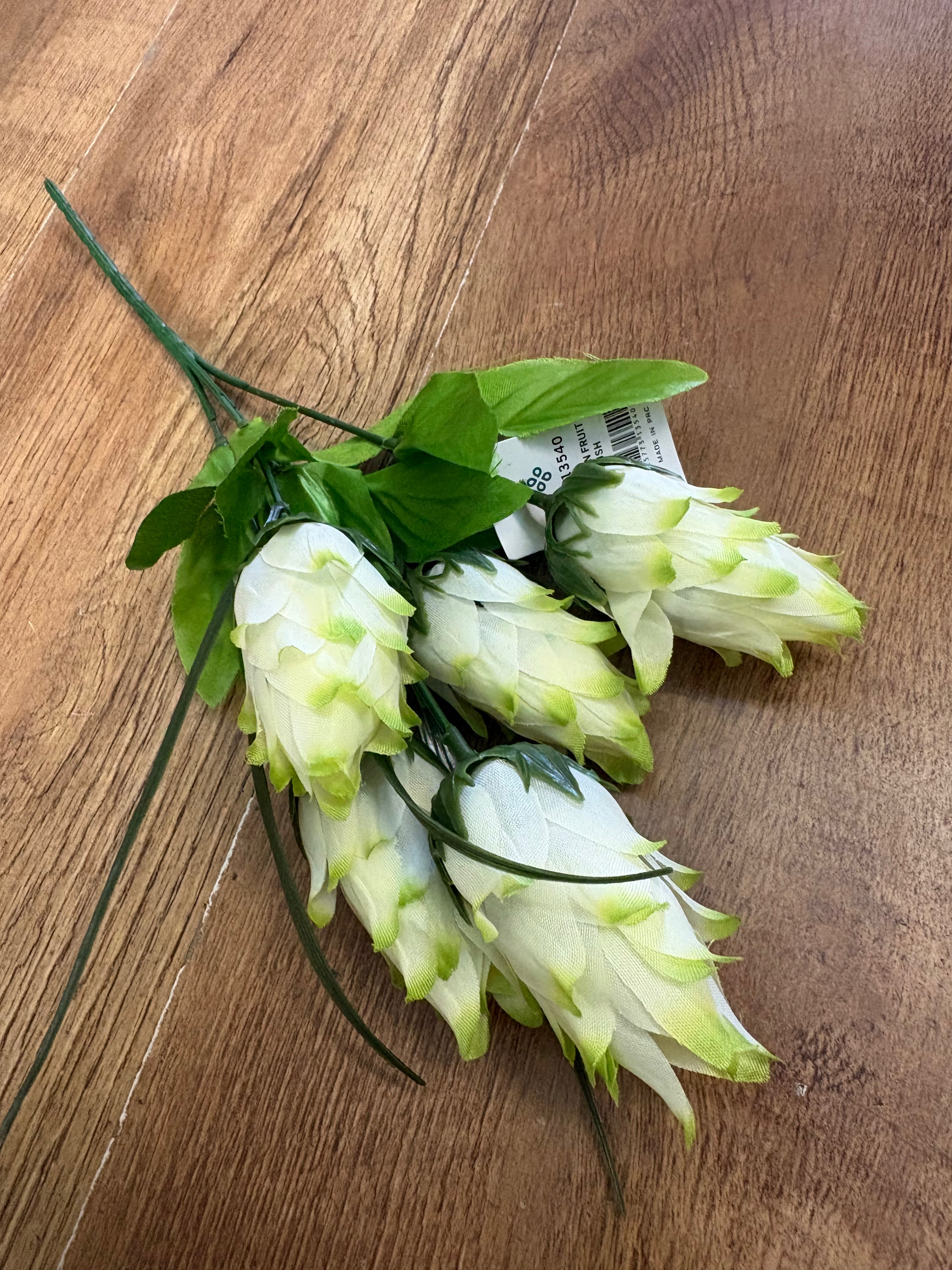 Dragonfruit bunch - 4 colours available