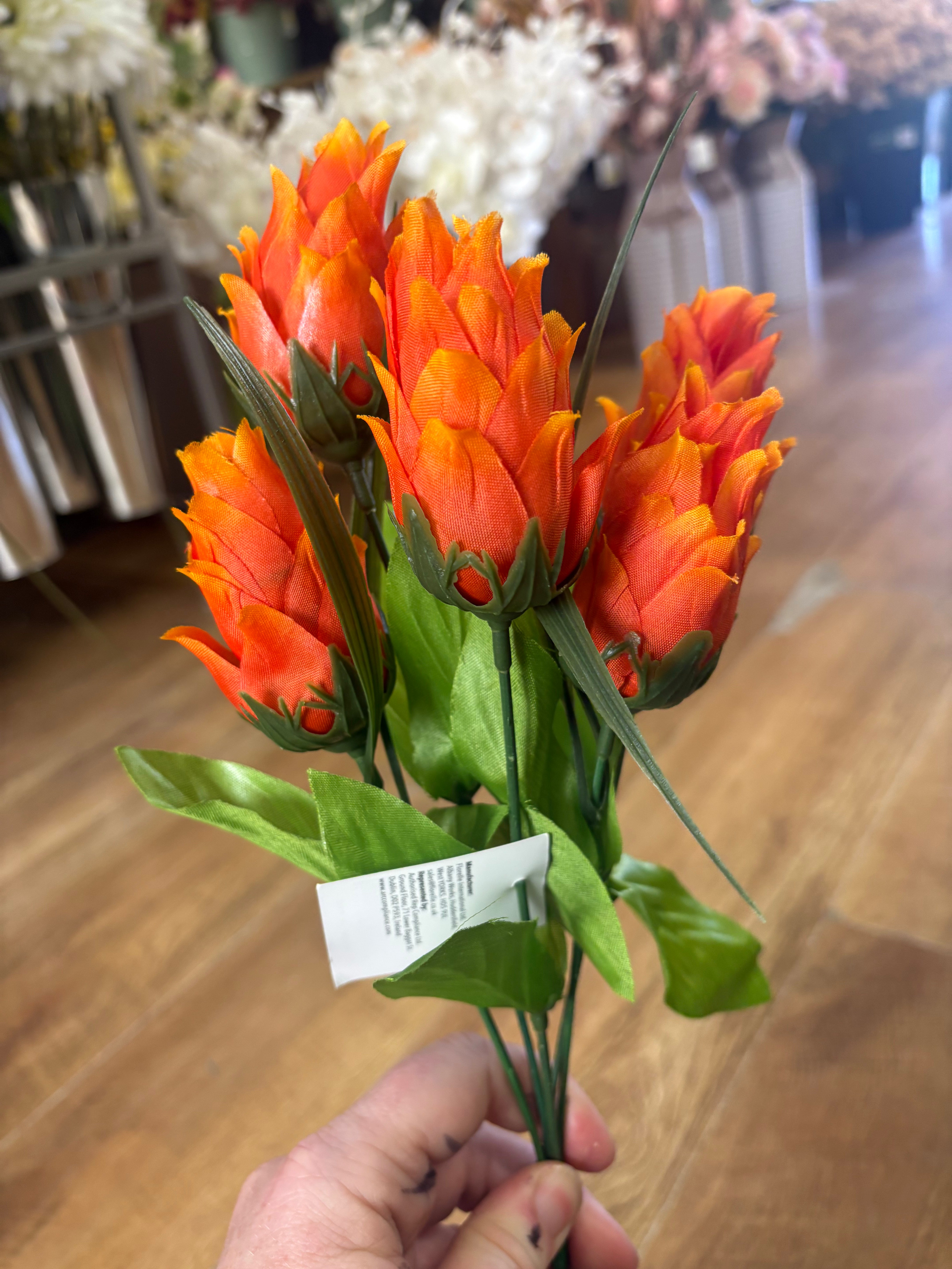 Dragonfruit bunch - 4 colours available