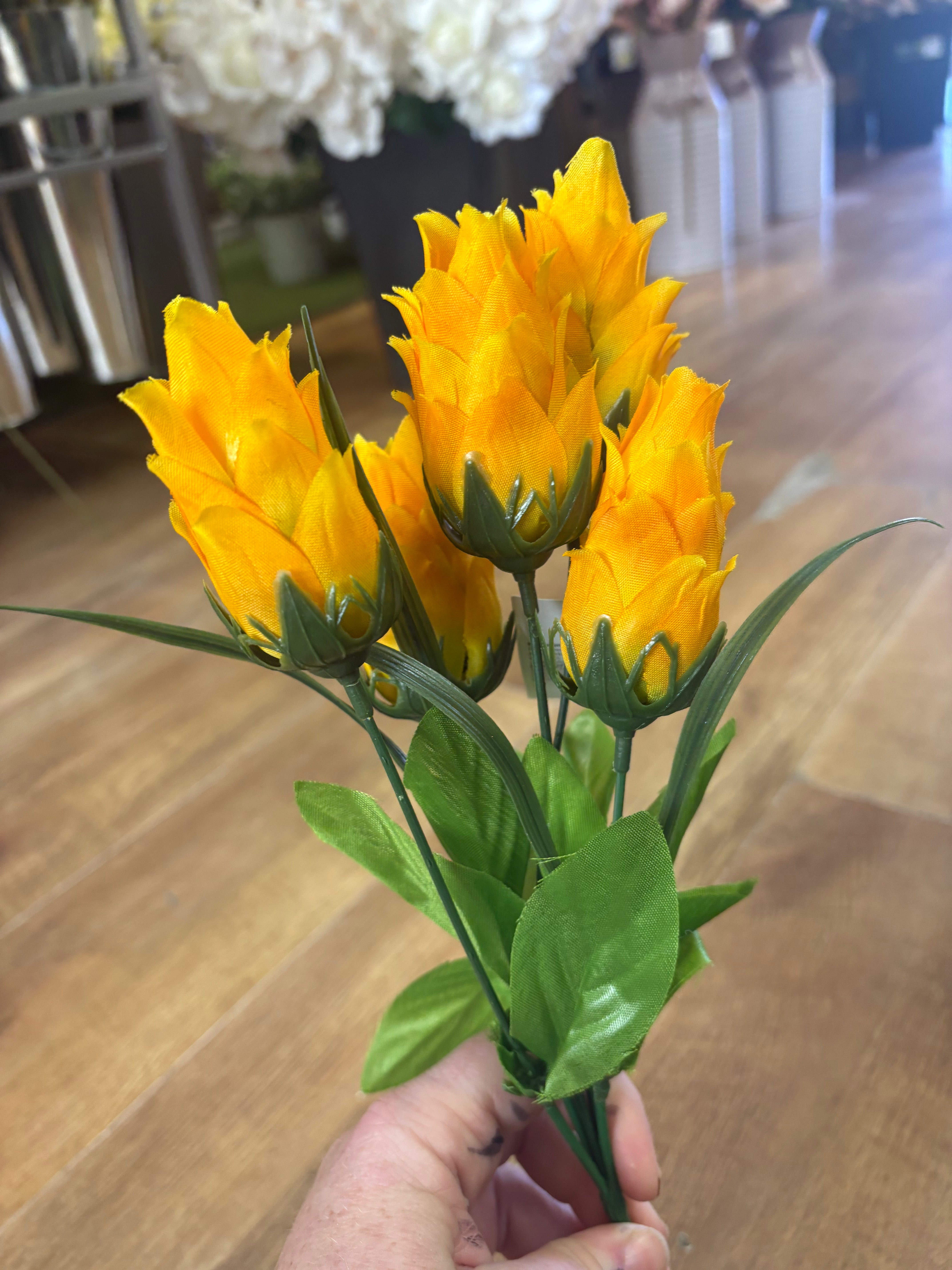 Dragonfruit bunch - 4 colours available
