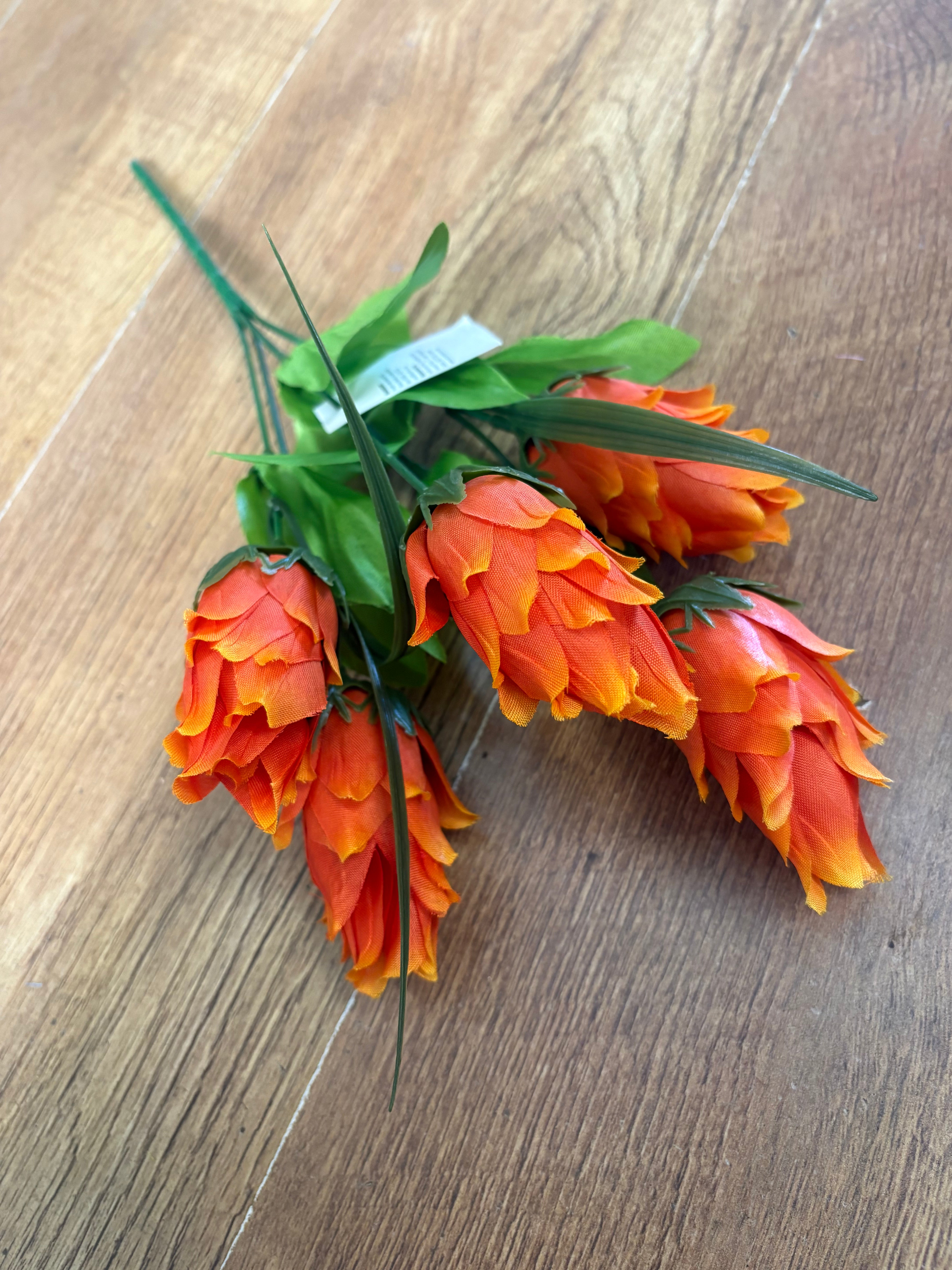 Dragonfruit bunch - 4 colours available
