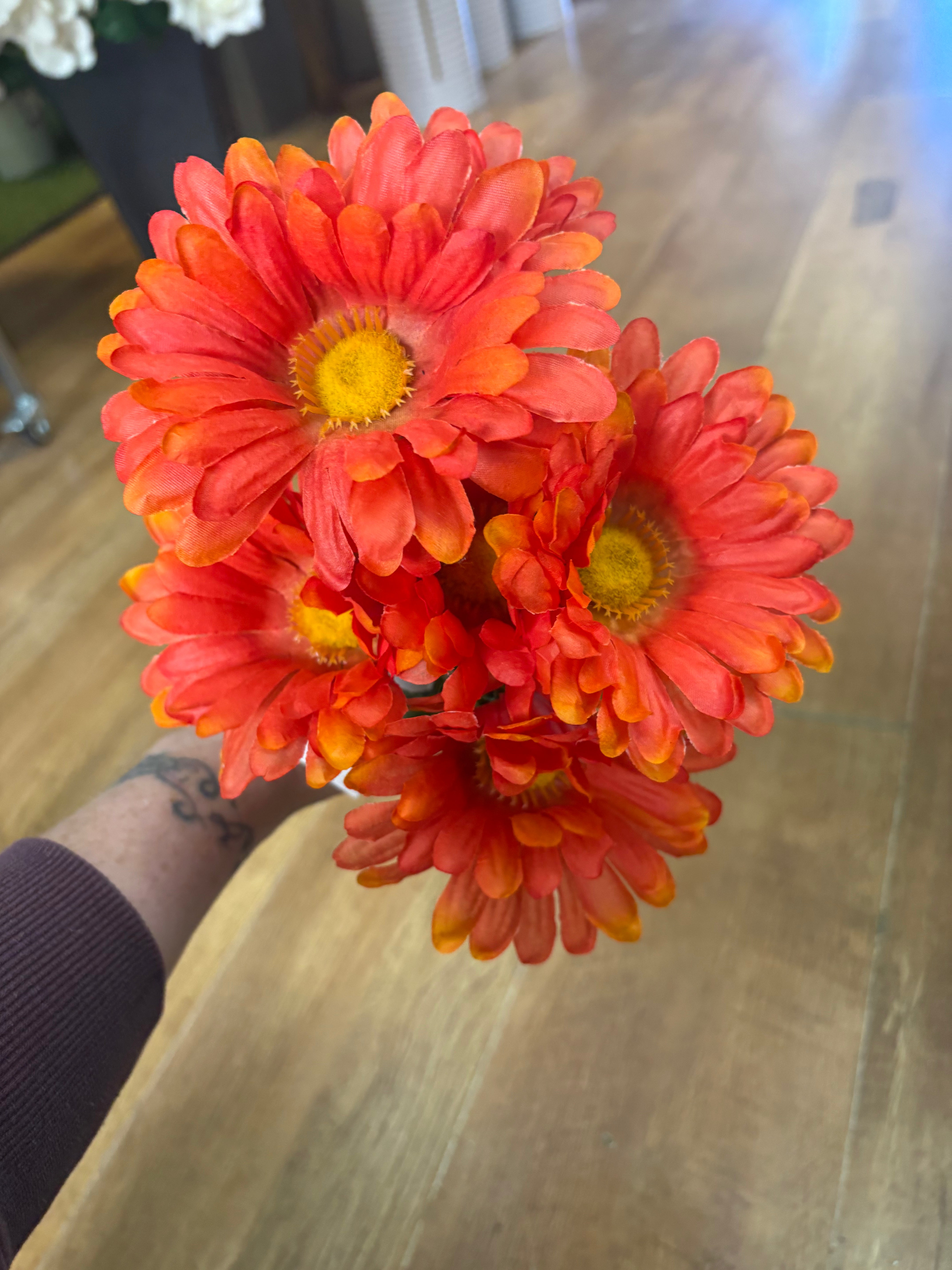 Large gerbera daisy bunch - 4 colours available
