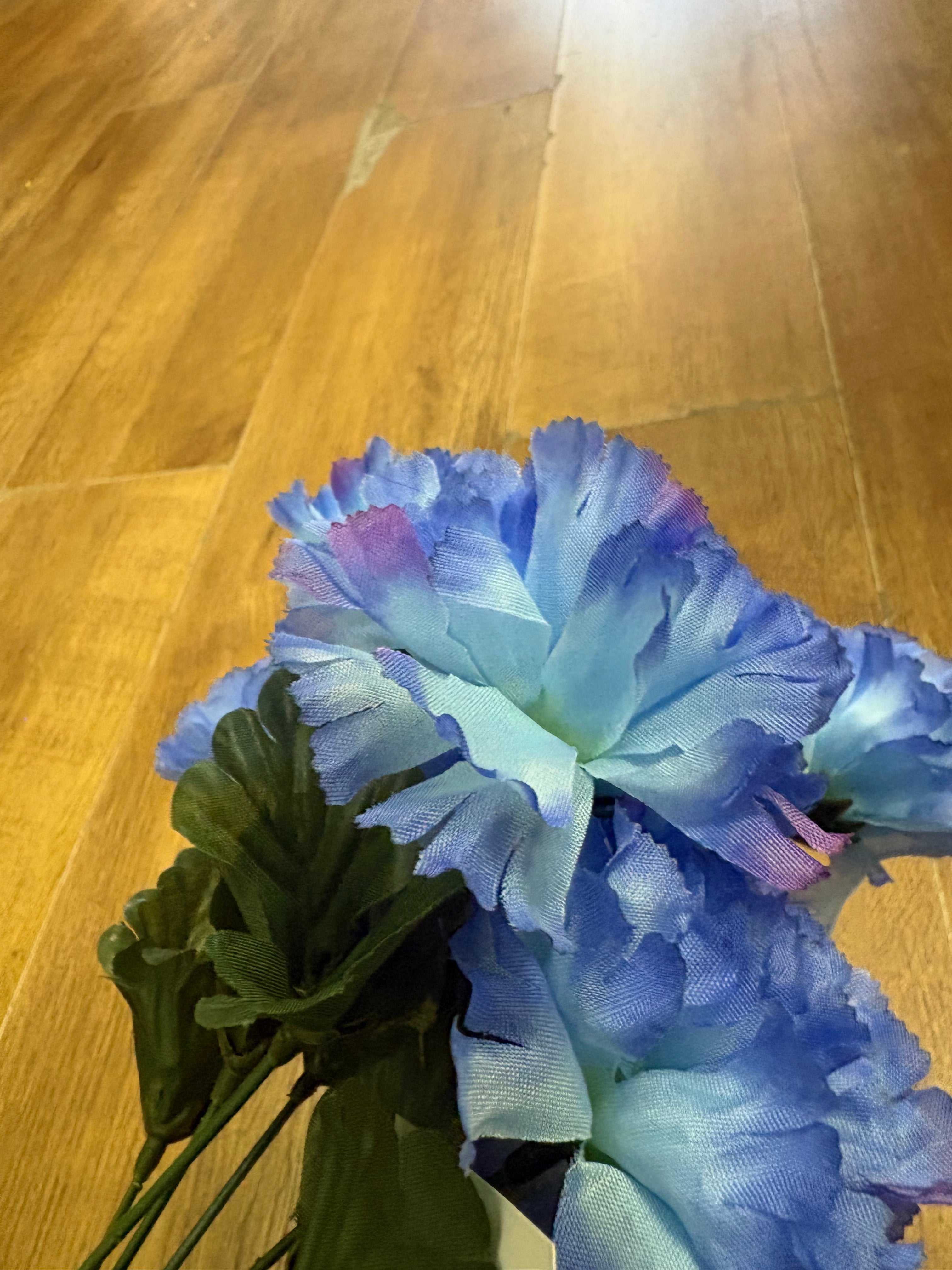 Carnation bunch - 4 colours available