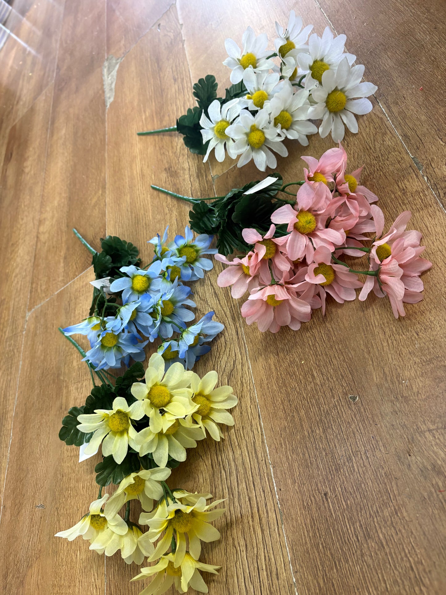 Pastel marguarite bunch