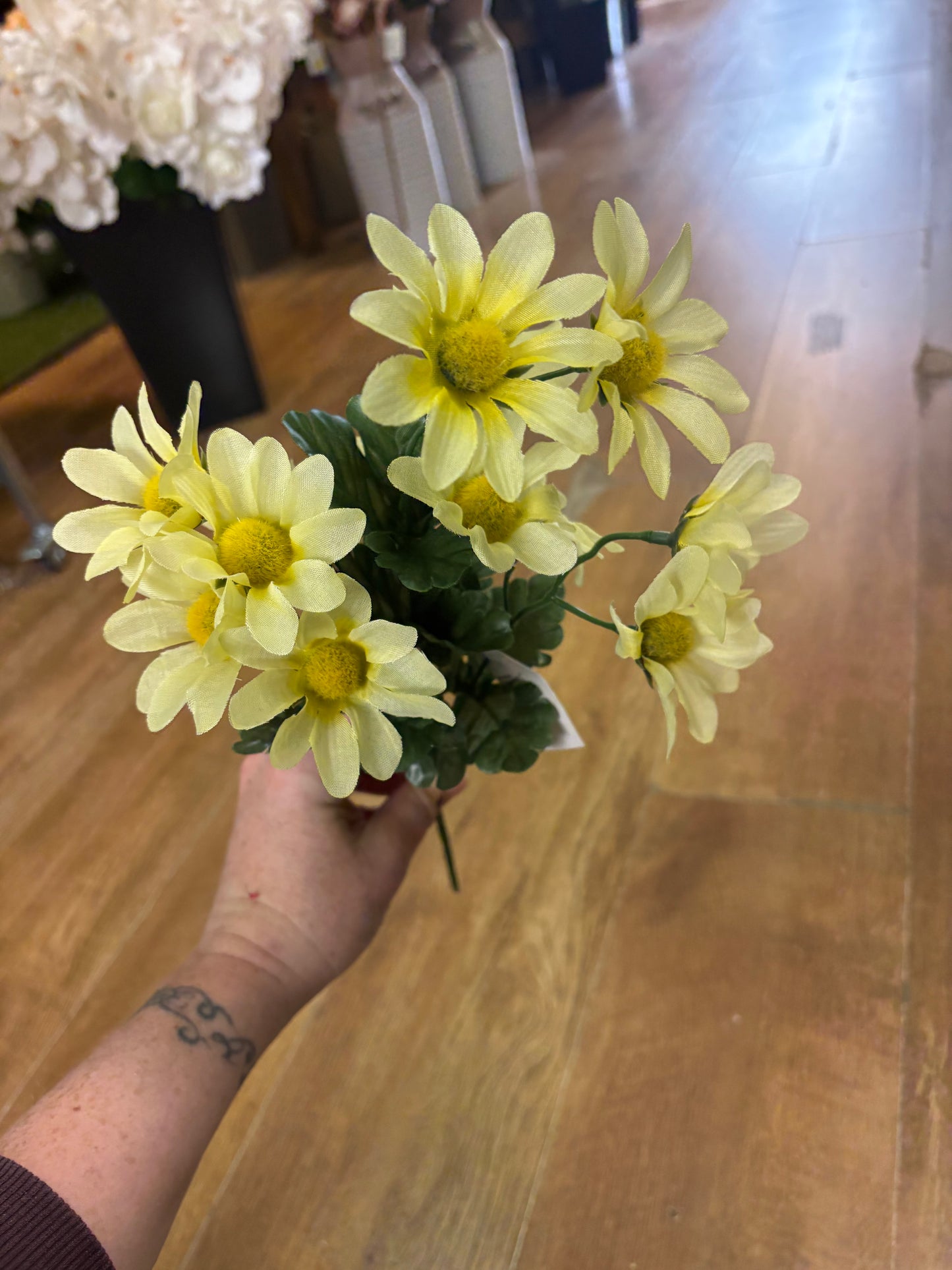 Pastel marguarite bunch