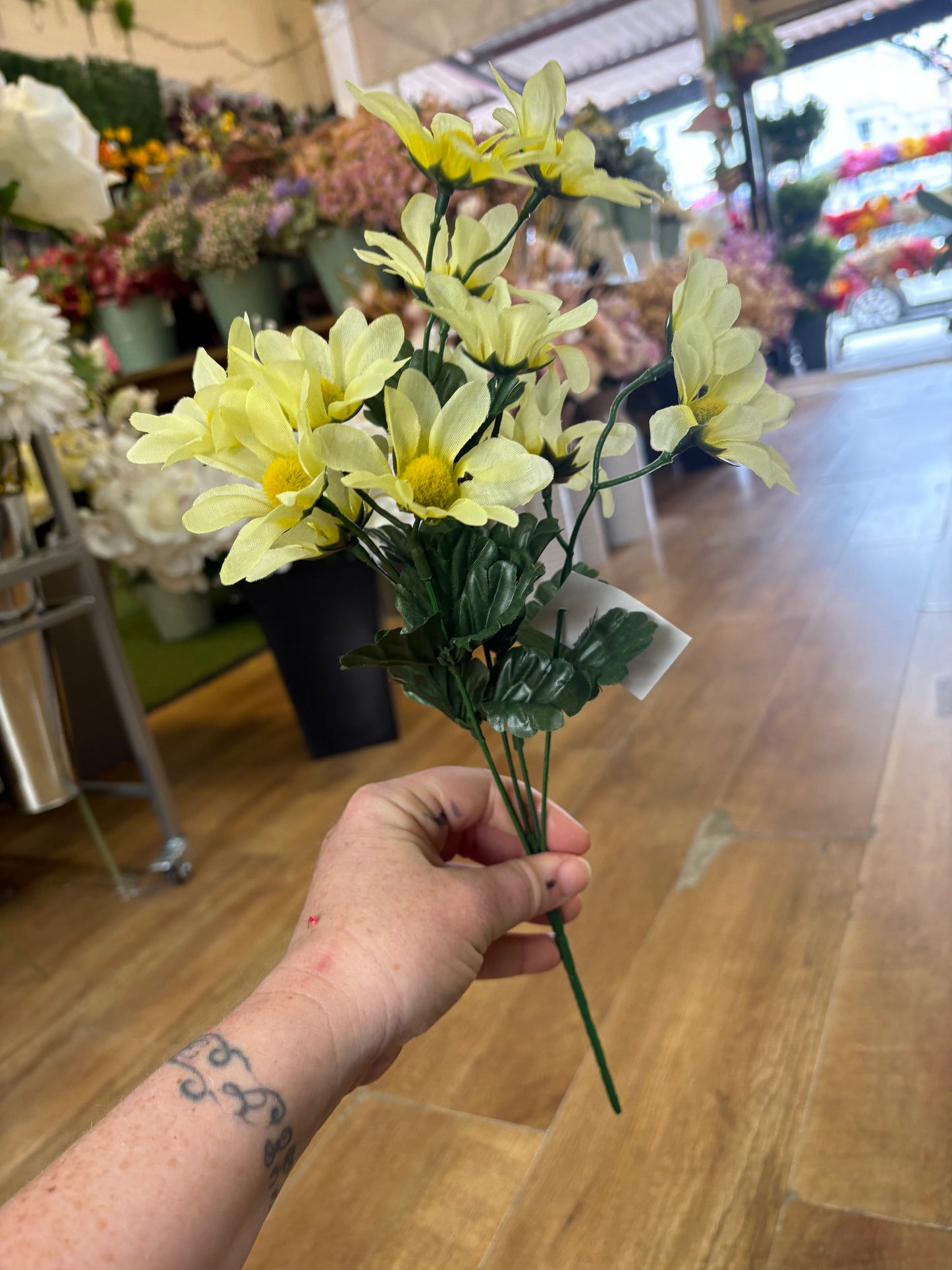 Pastel marguarite bunch