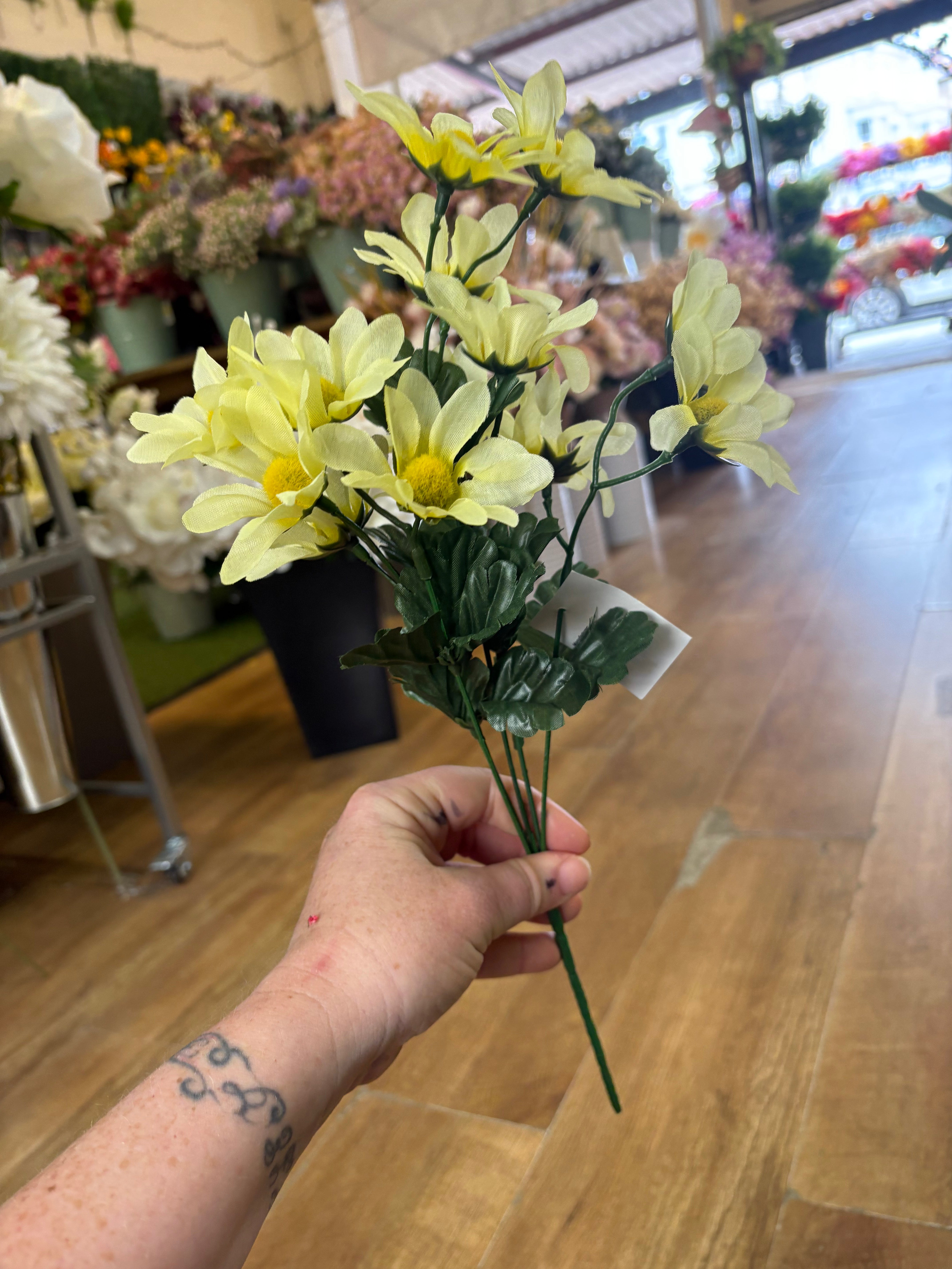 Pastel marguarite bunch