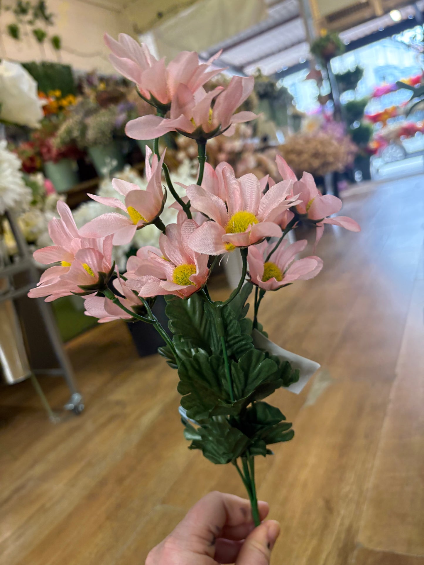 Pastel marguarite bunch