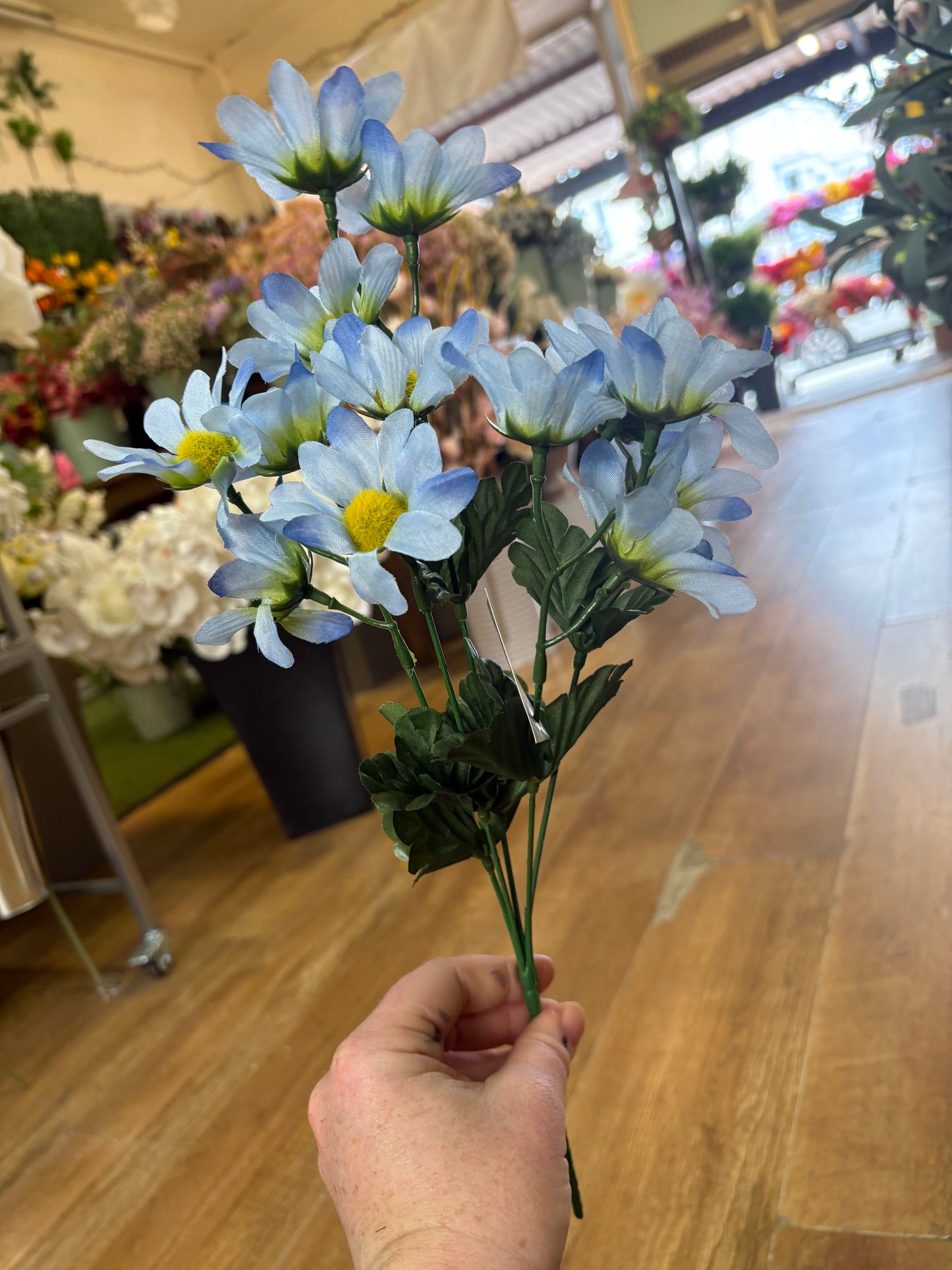 Pastel marguarite bunch