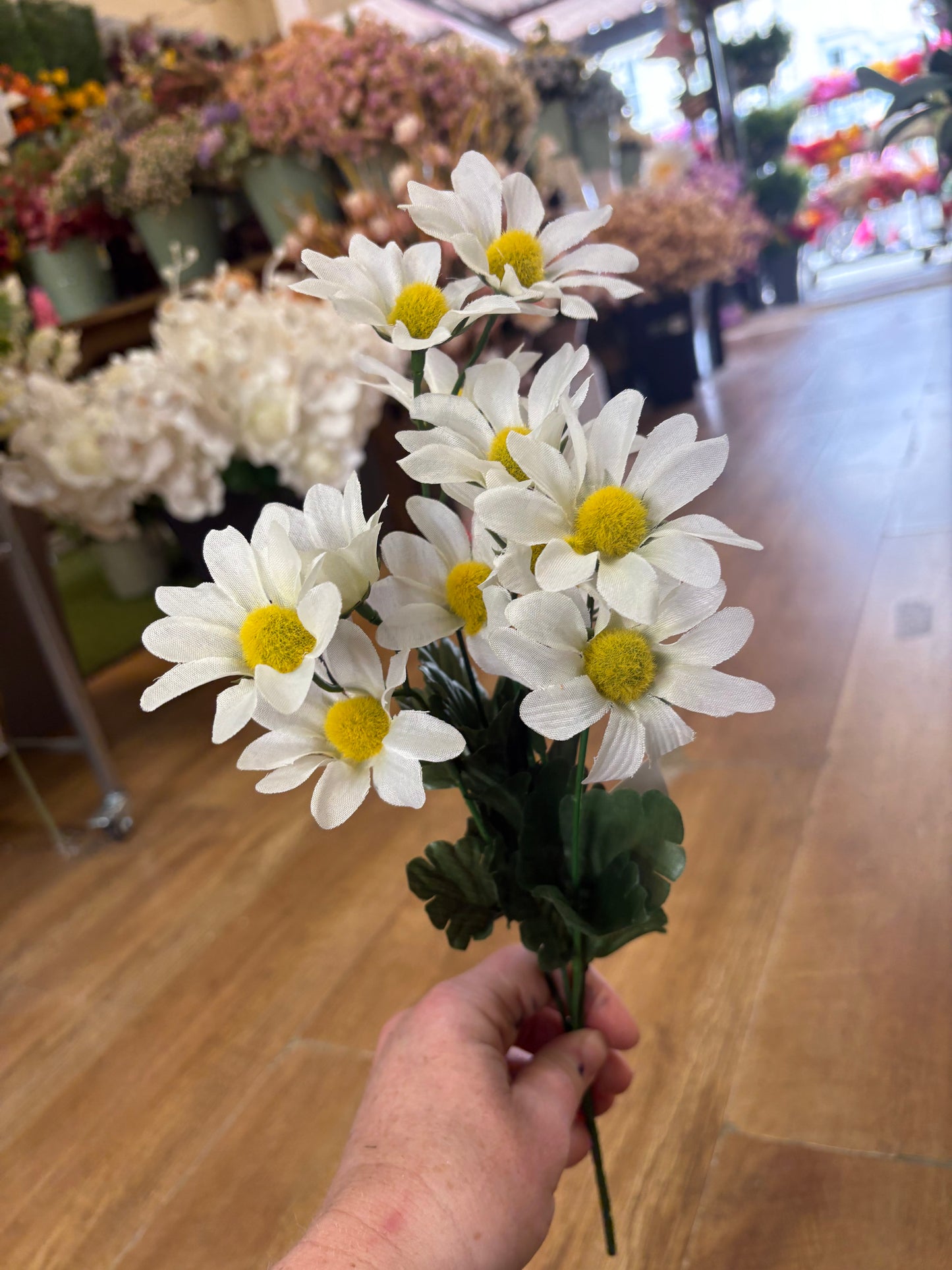 Pastel marguarite bunch