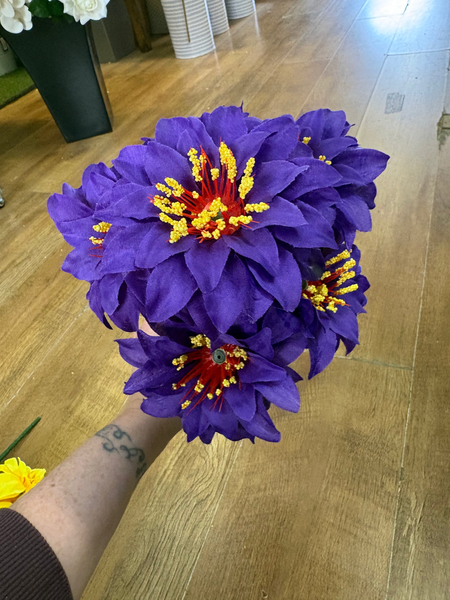 Carnival zinnia bunch - 4 colours available