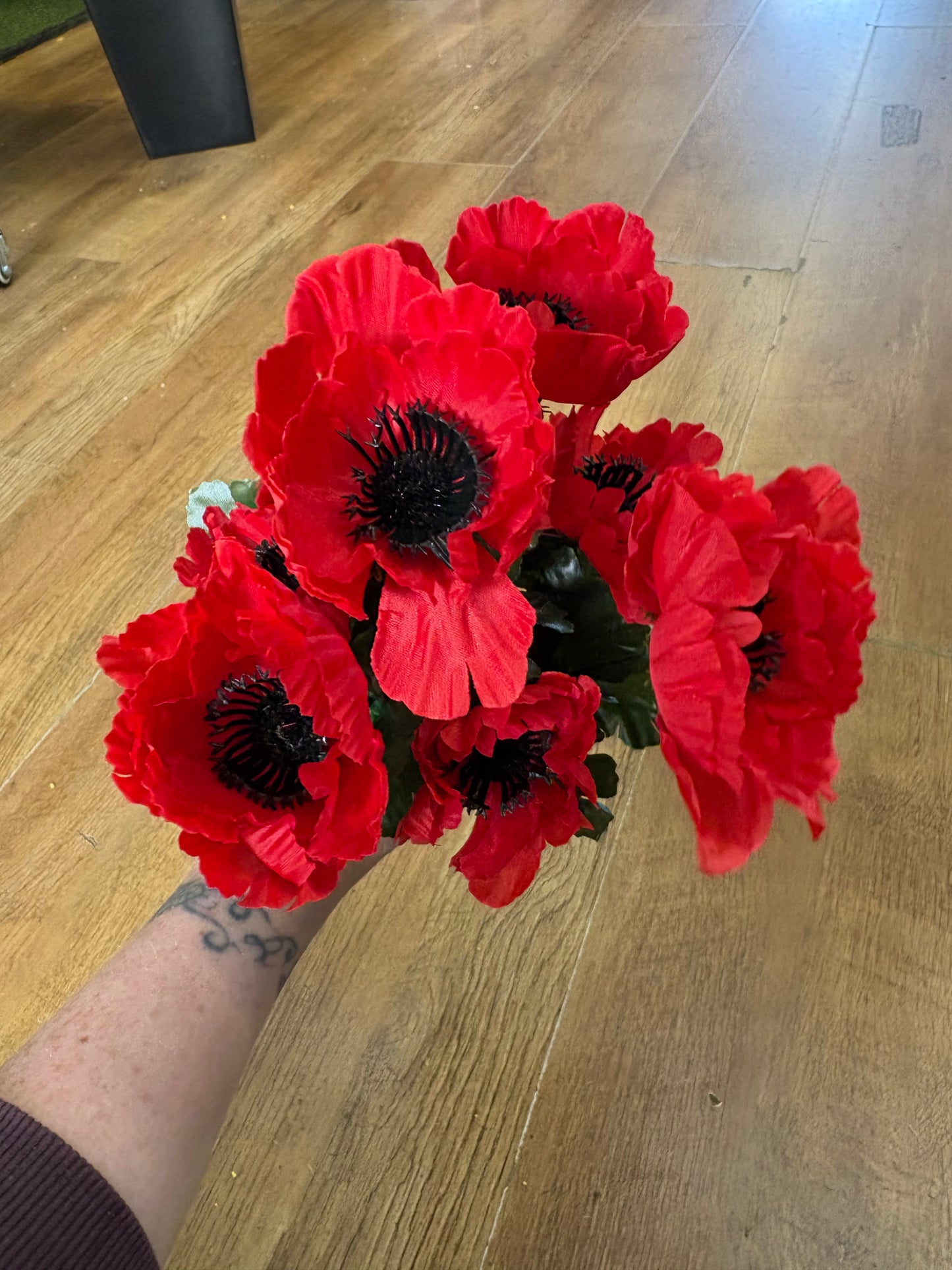 Poppy bush - 4 colours available