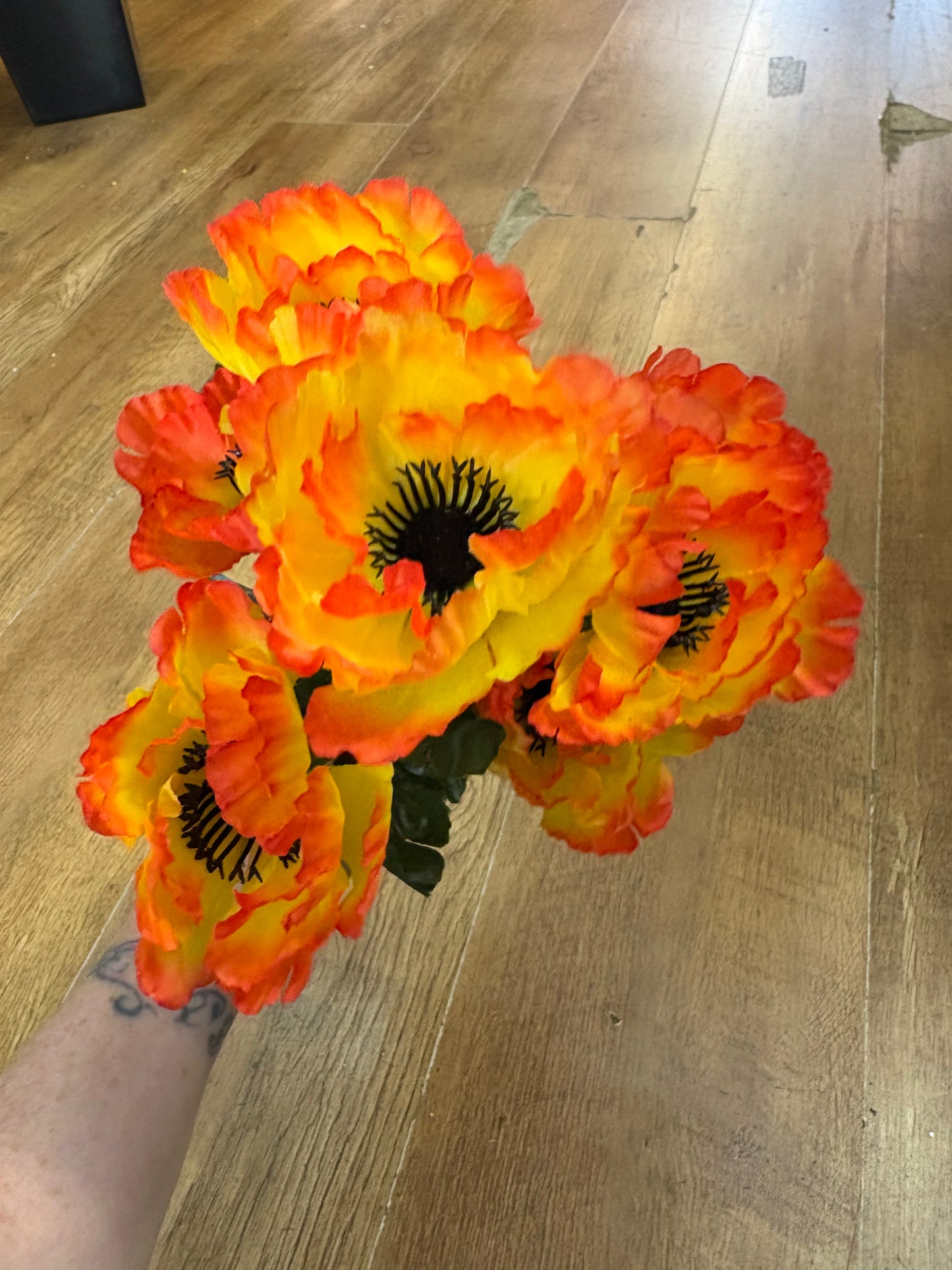 Poppy bush - 4 colours available