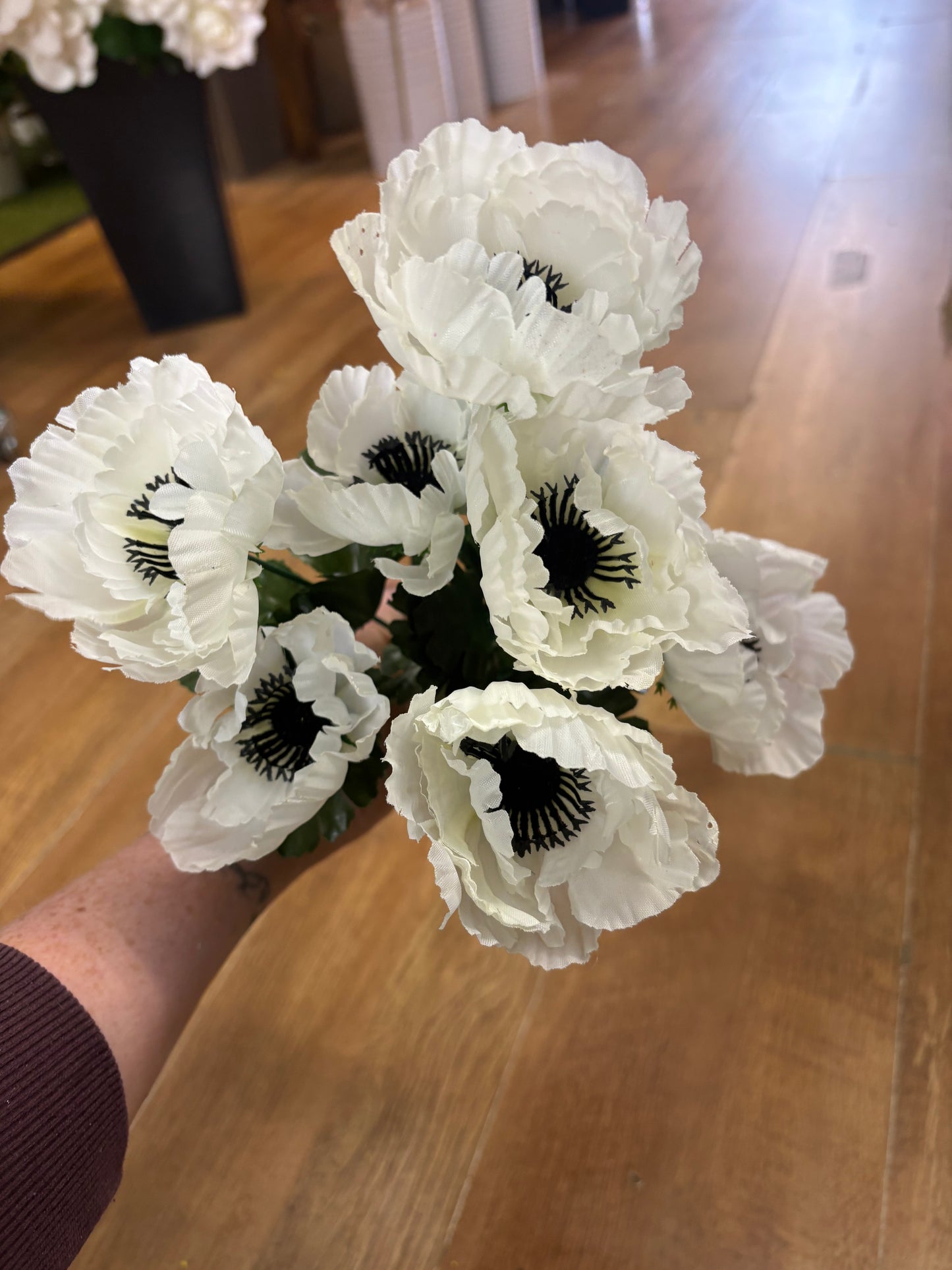 Poppy bush - 4 colours available