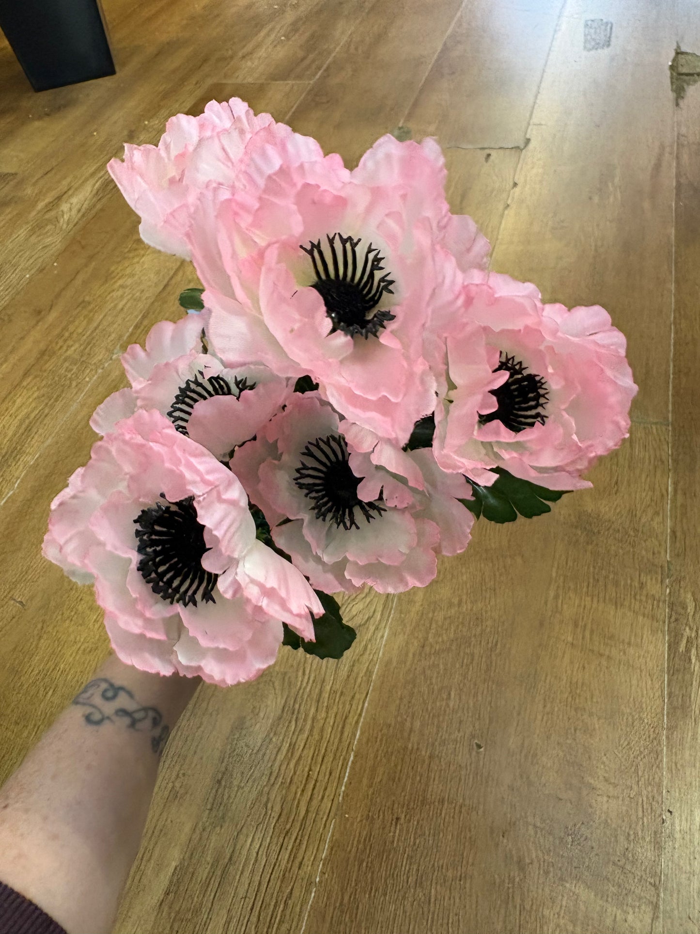 Poppy bush - 4 colours available