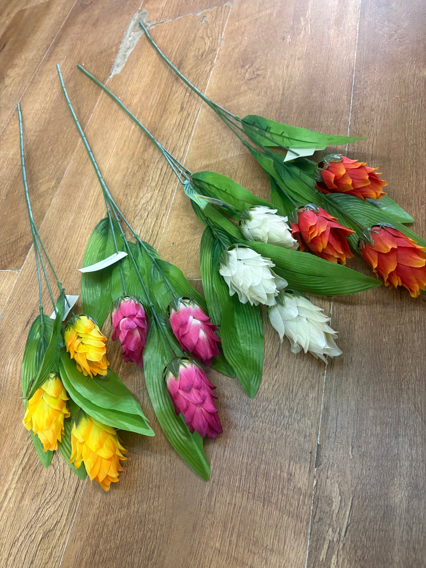 Long dragonfruit stem - 4 colours available