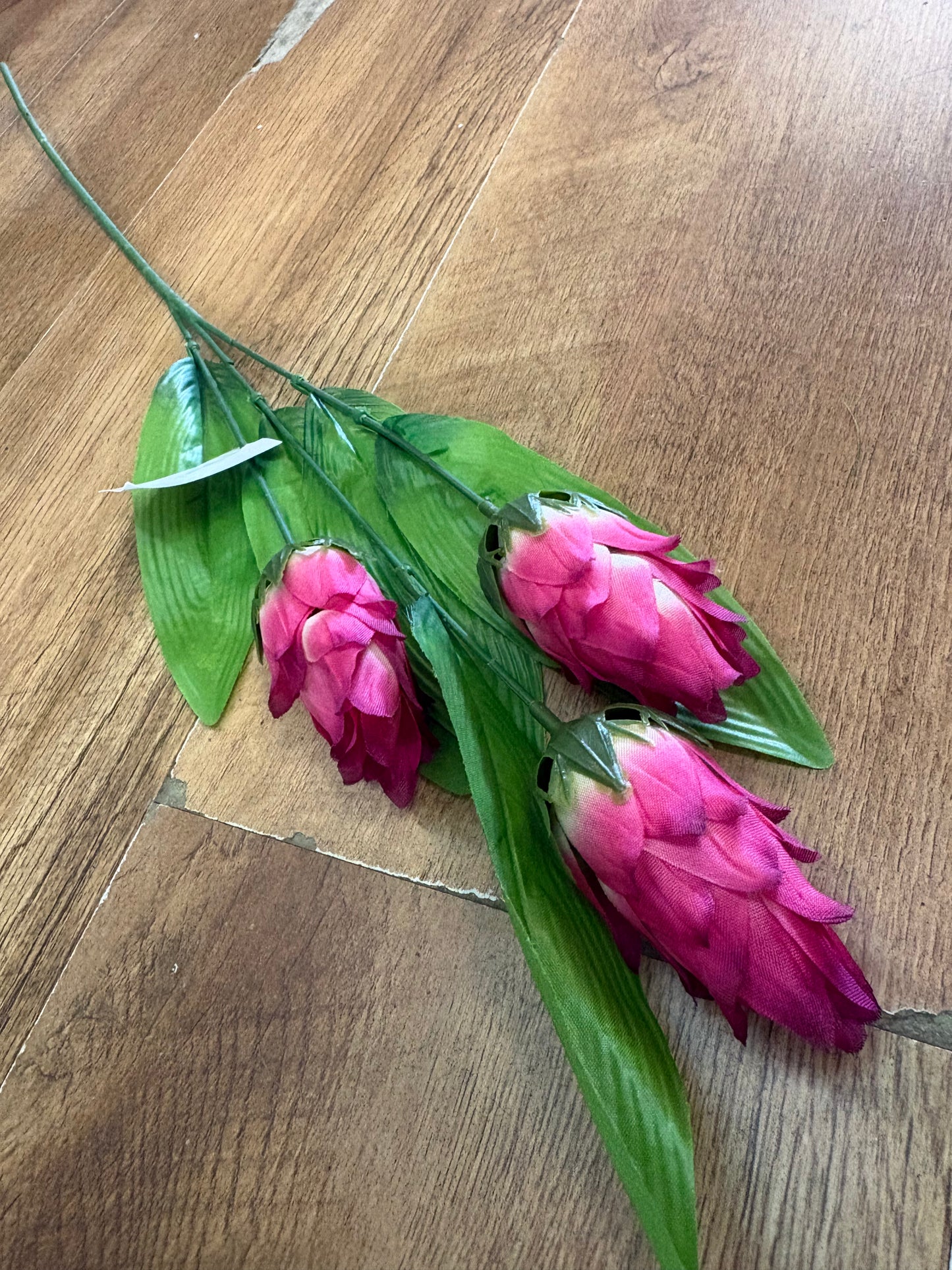 Long dragonfruit stem - 4 colours available