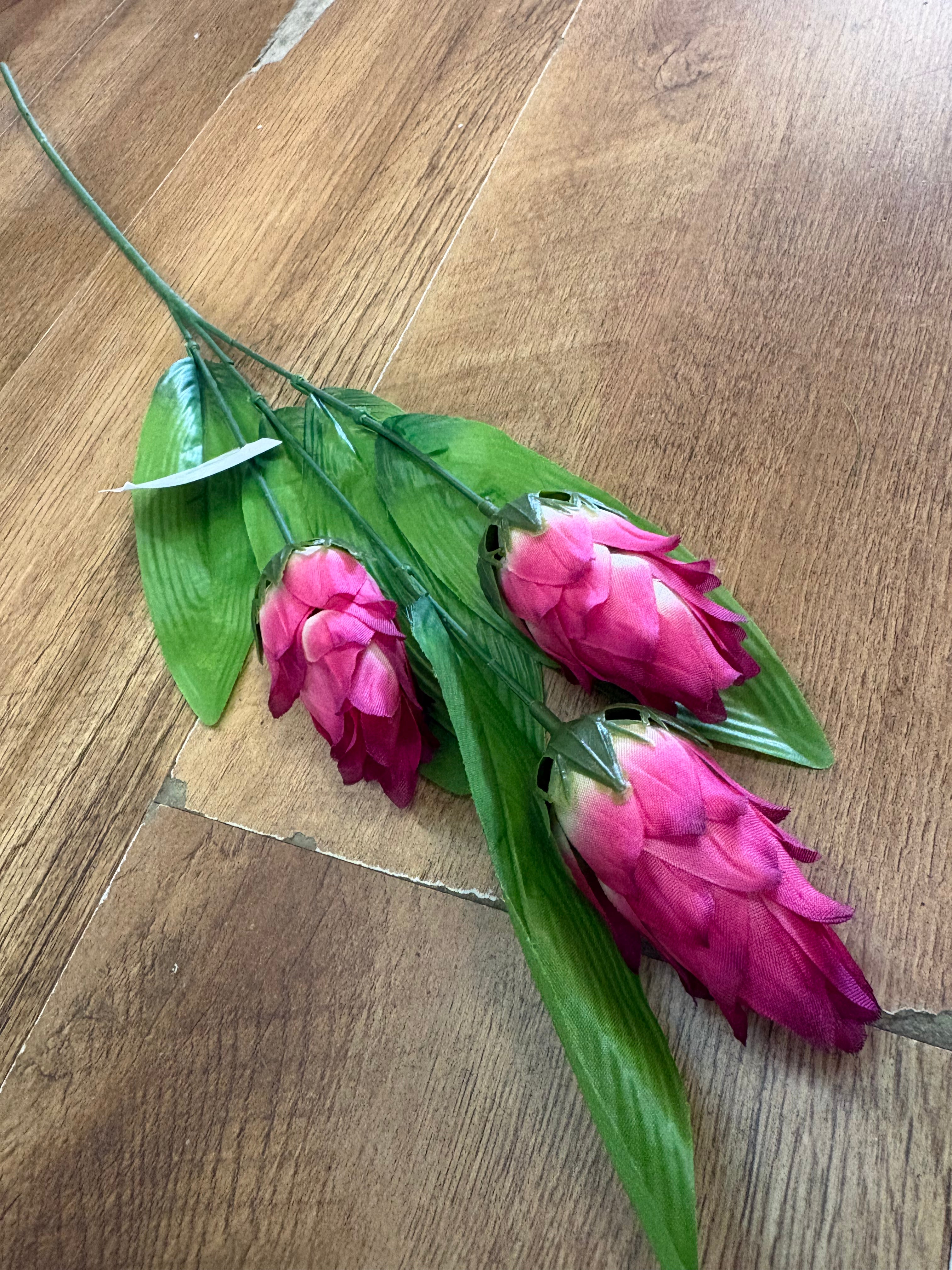 Long dragonfruit stem - 4 colours available