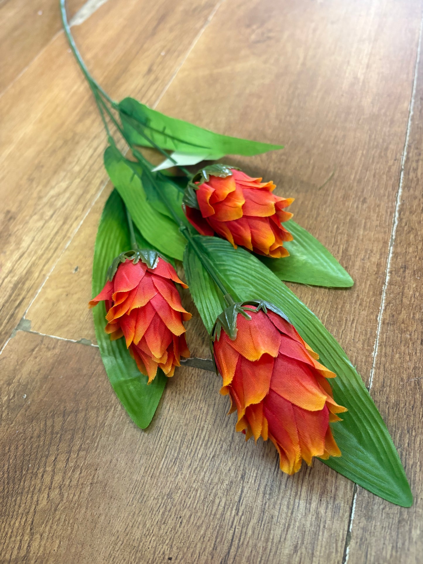 Long dragonfruit stem - 4 colours available