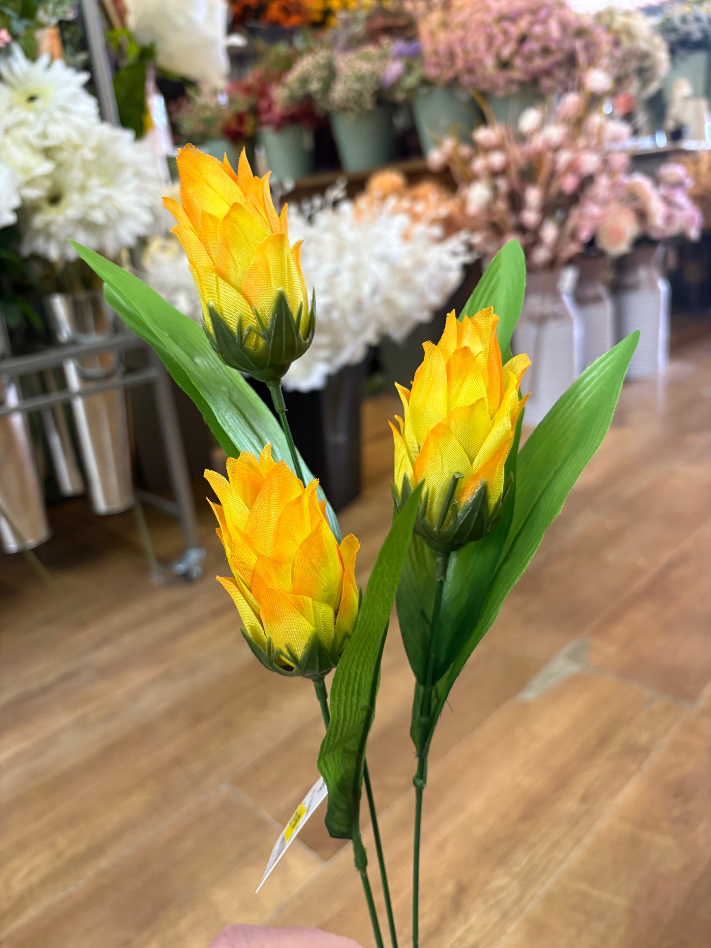 Long dragonfruit stem - 4 colours available